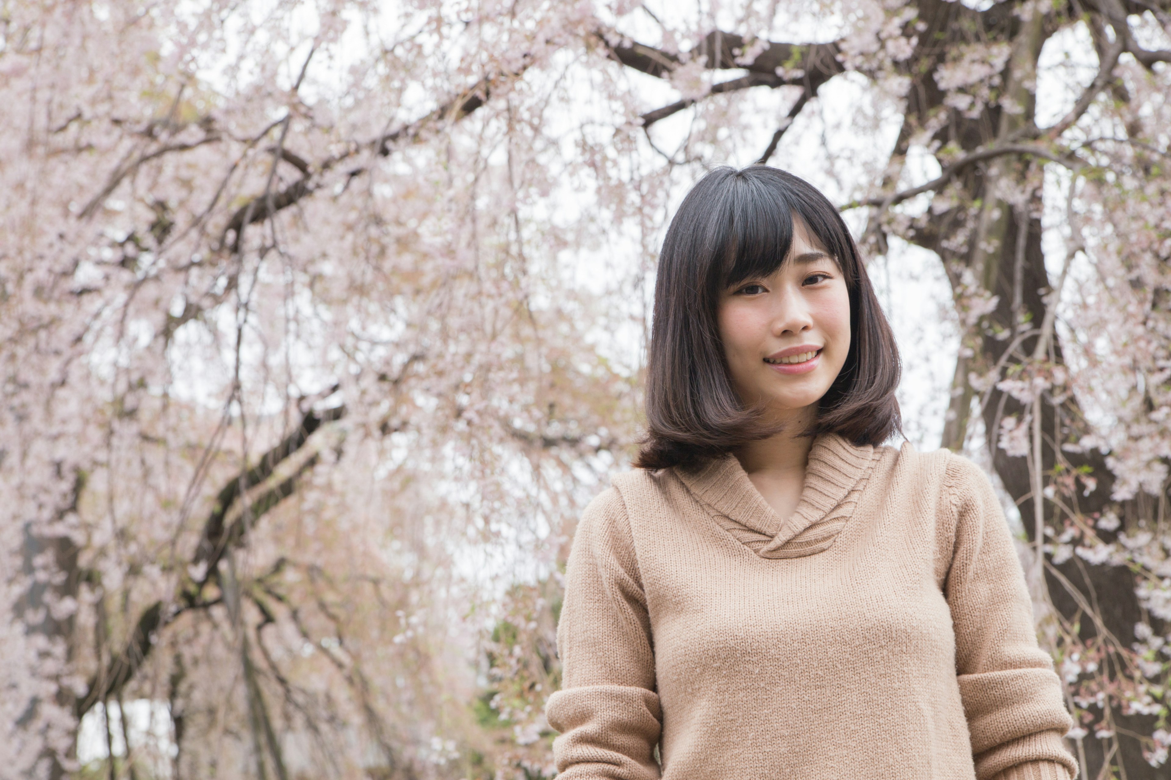 Portrait d'une femme se tenant sous des cerisiers en fleurs