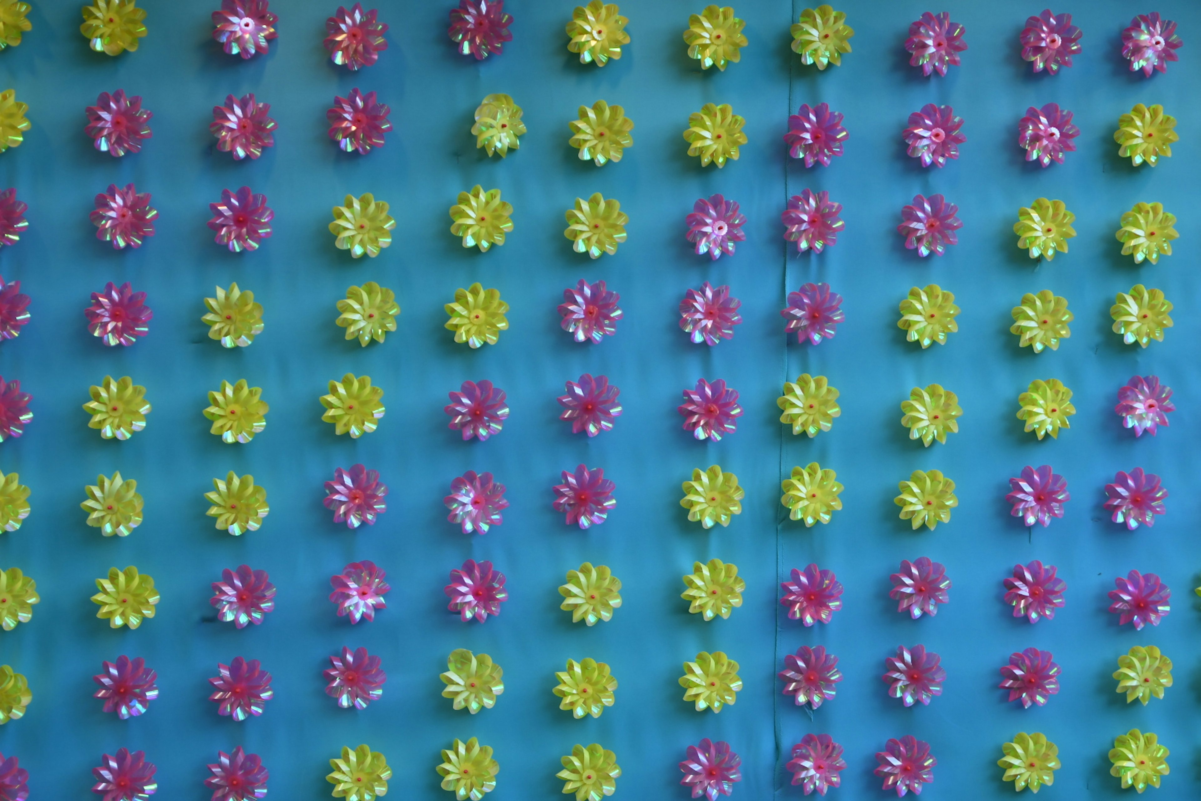 A blue backdrop featuring a pattern of yellow and pink flower designs arranged in a grid