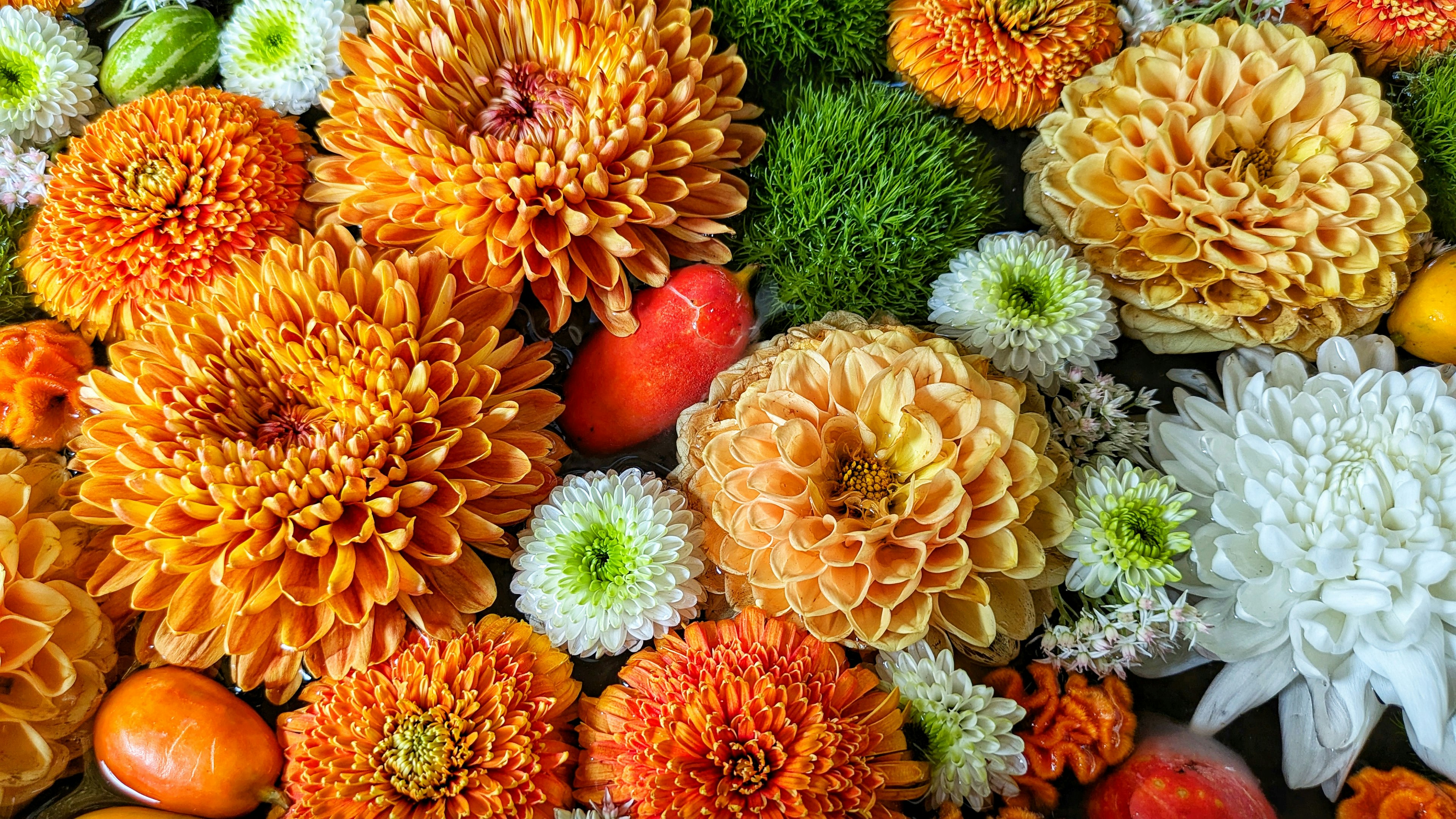 Lebendige Blumenanordnung mit orangefarbenen Blumen und grünem Laub