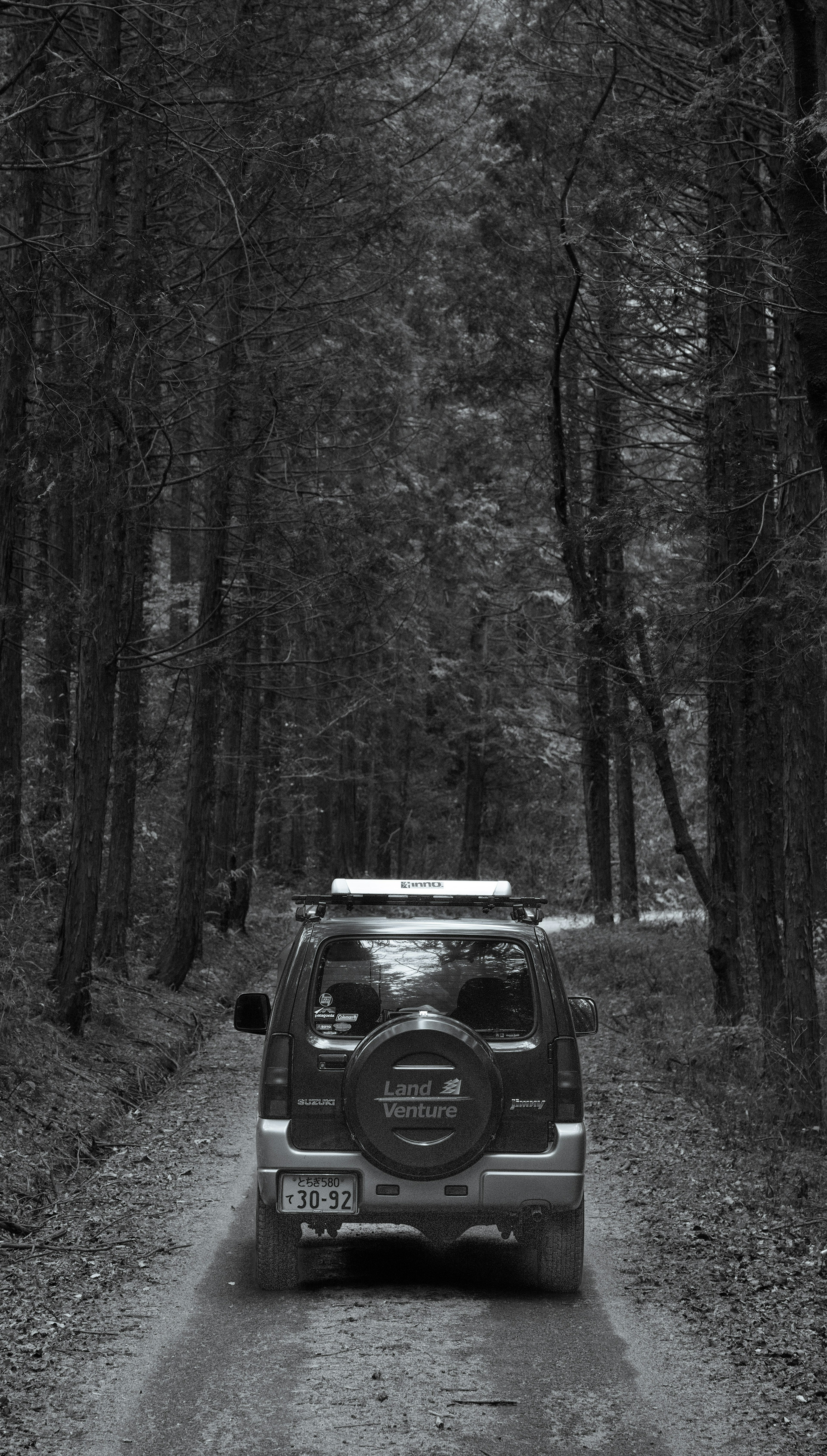 Black and white photo of a car driving through a forest