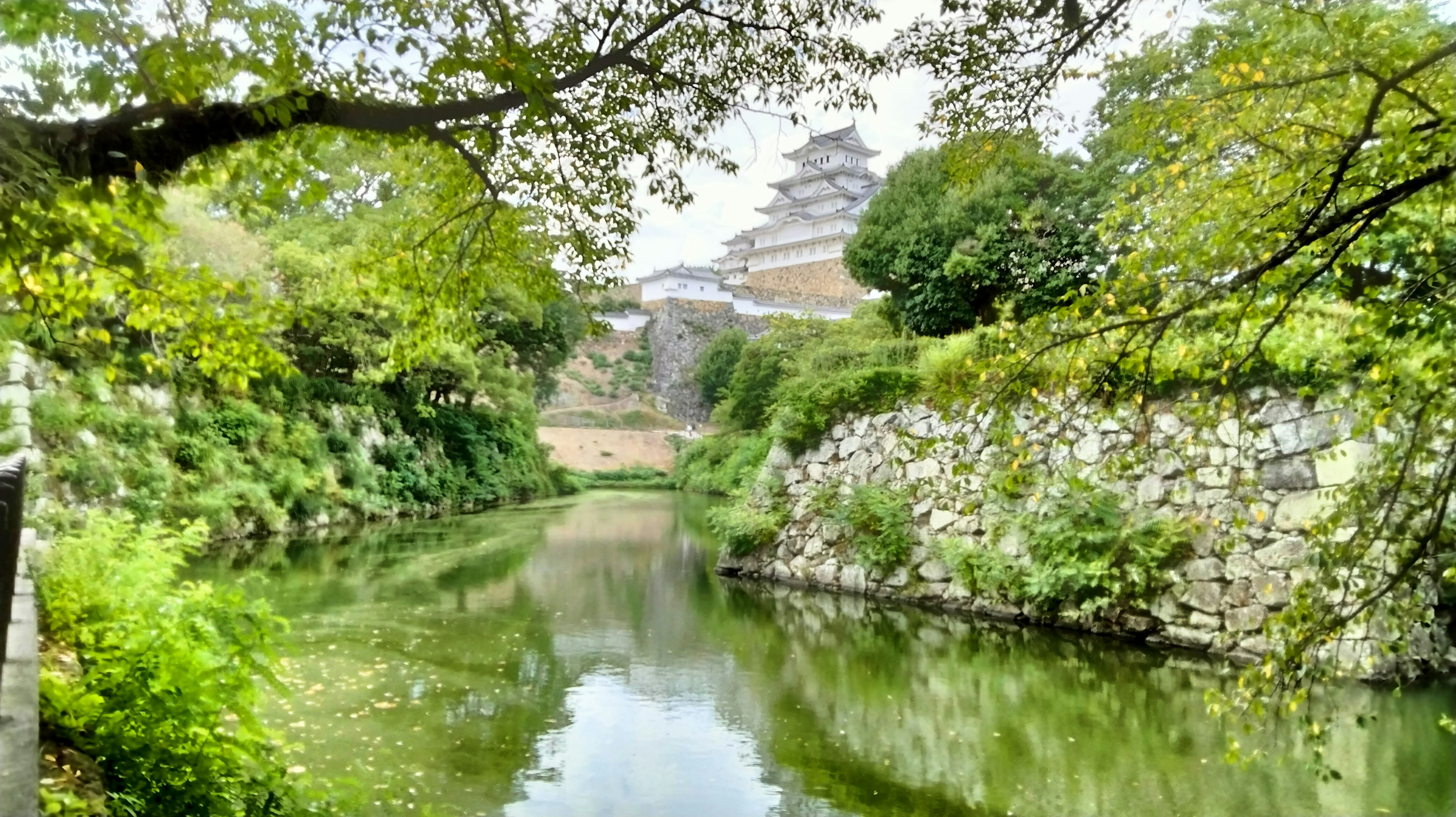 緑に囲まれた静かな池と背景に見える城