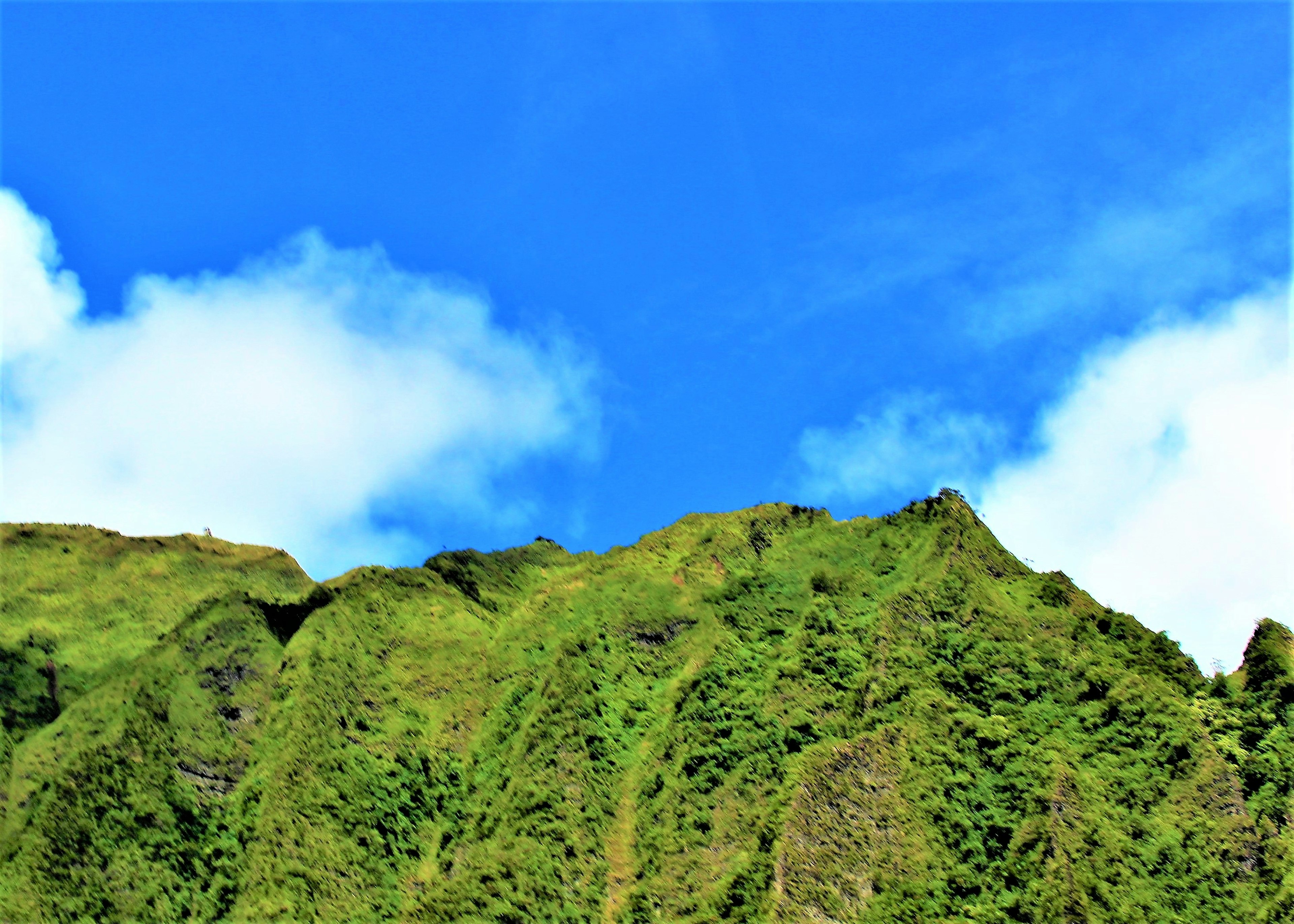 Üppige grüne Berglandschaft vor blauem Himmel und Wolken