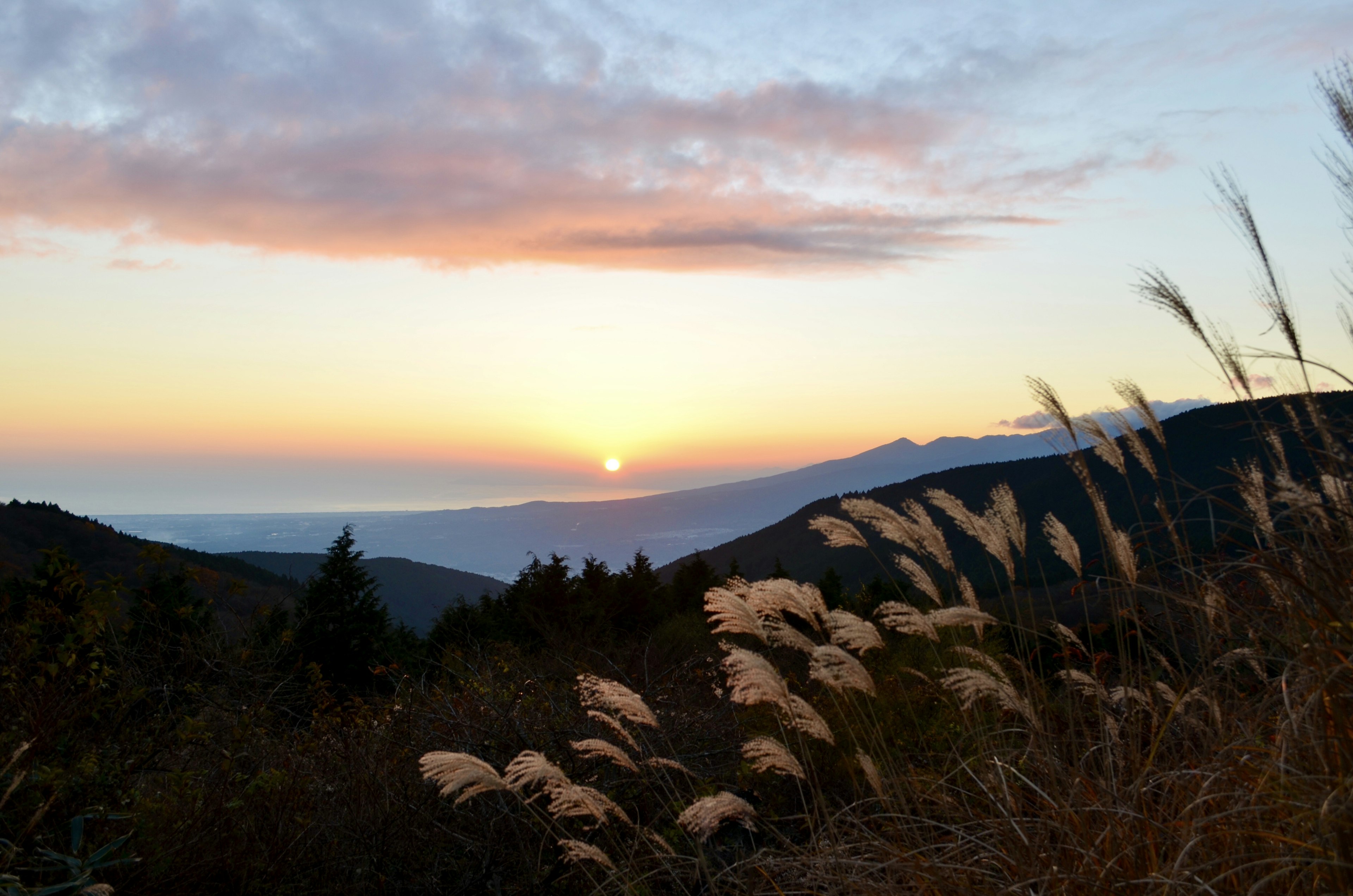 夕日が沈む山々と穂のある草原の風景