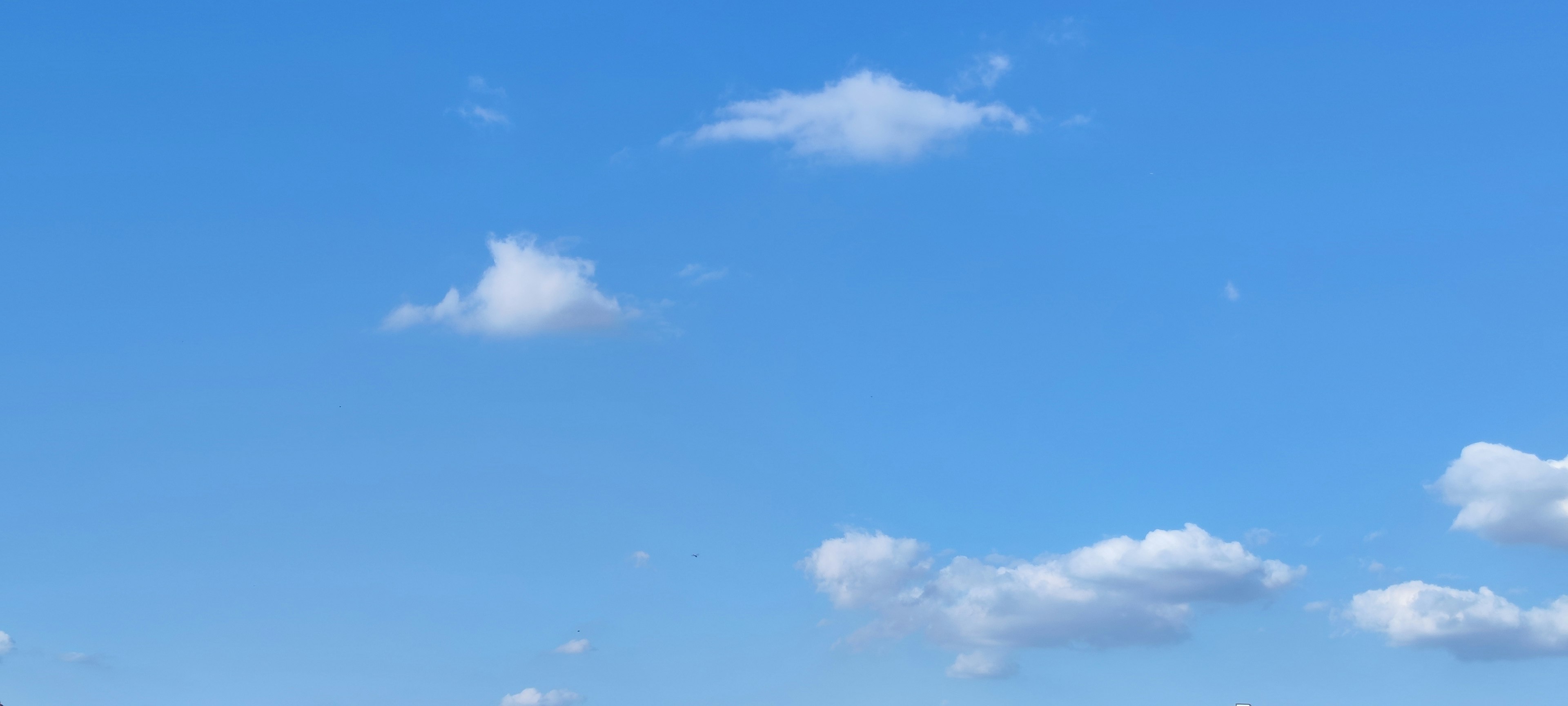 Landschaft mit weißen Wolken, die in einem blauen Himmel schweben