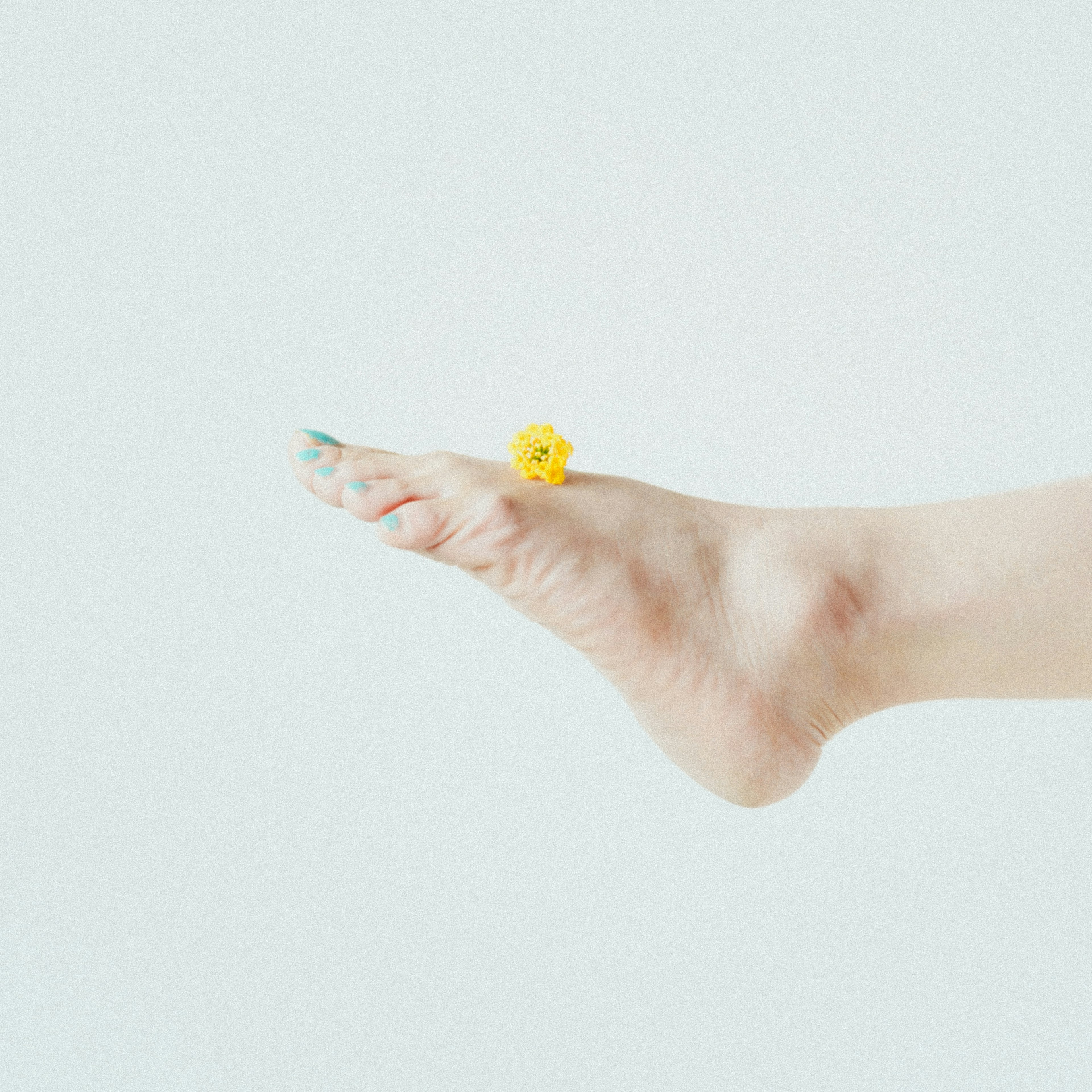 Image of a foot with a yellow flower resting on it against a pale background