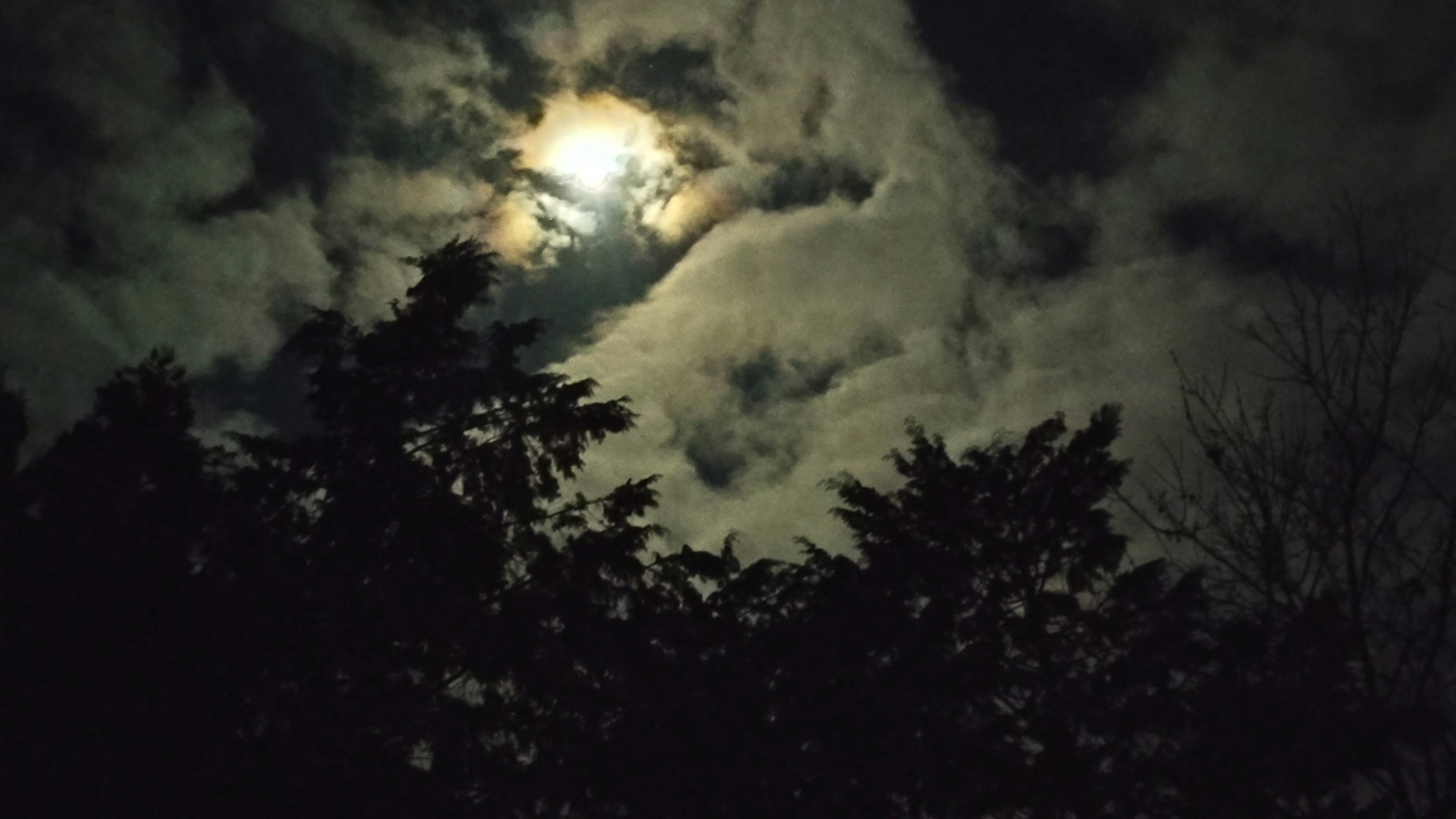 Una luna brillante tra nuvole inquietanti in un cielo notturno