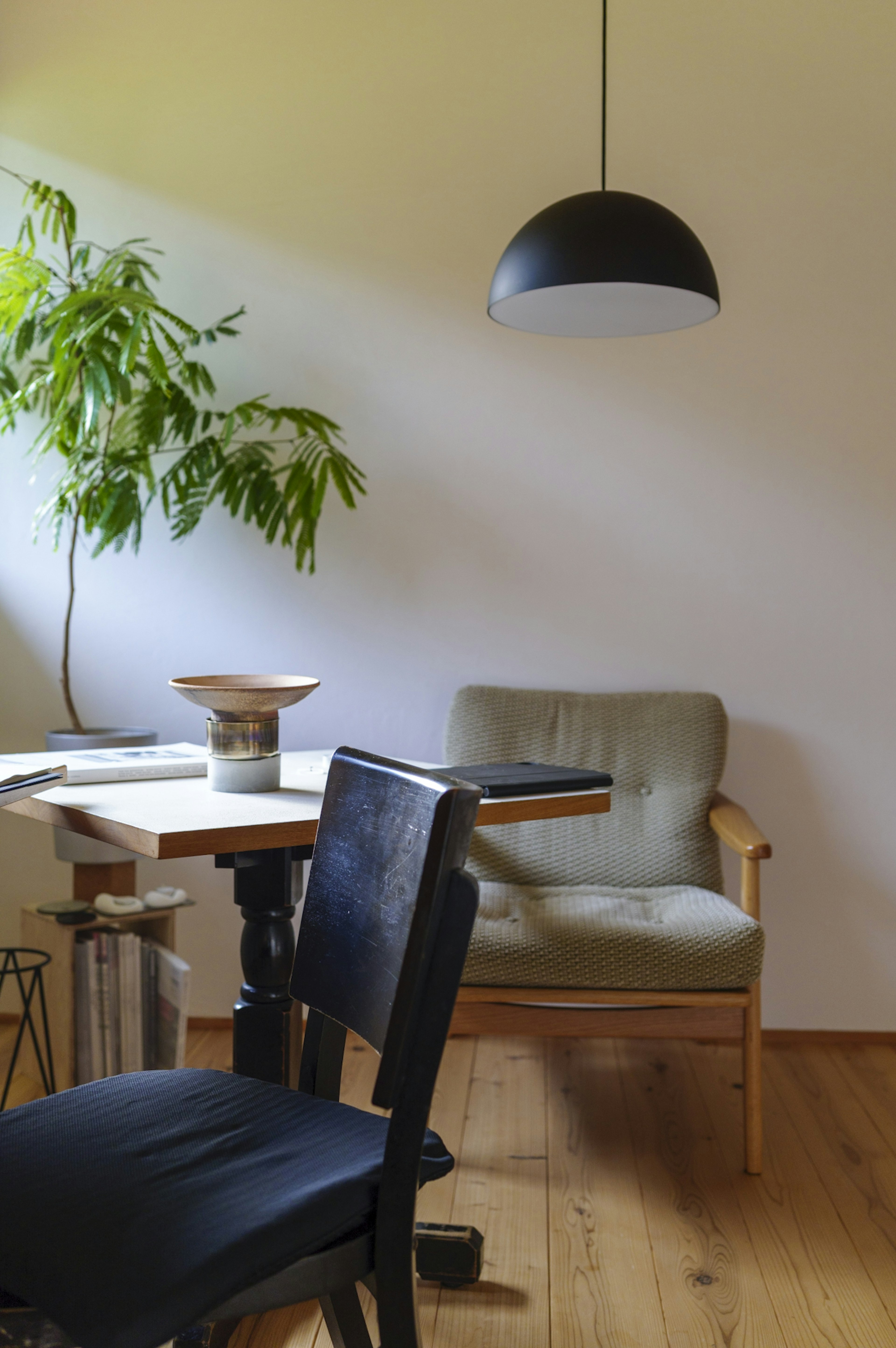 Un intérieur moderne et simple avec une plante et une lampe noire