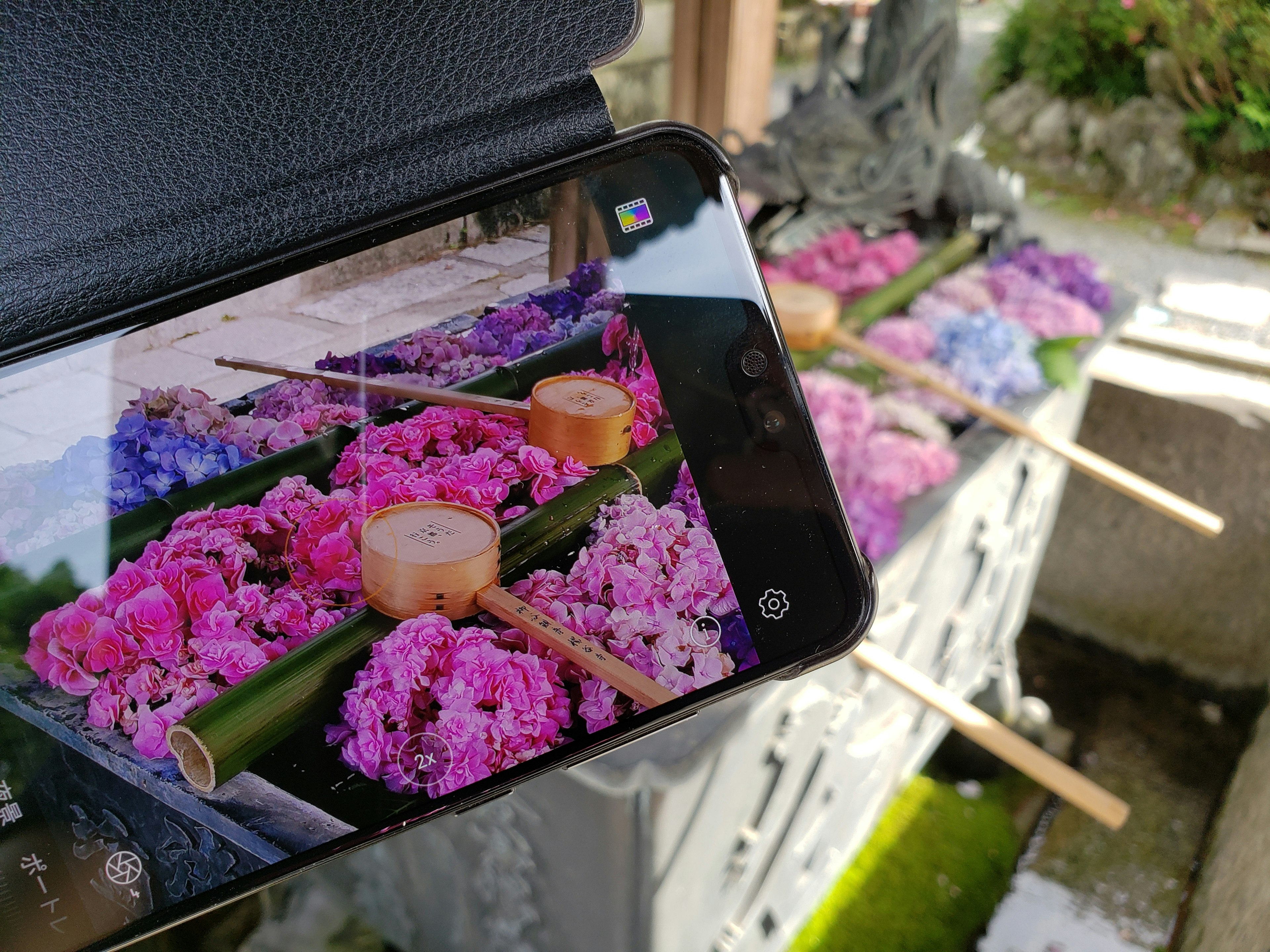 Image of a smartphone capturing pink and purple flowers arranged in a water basin