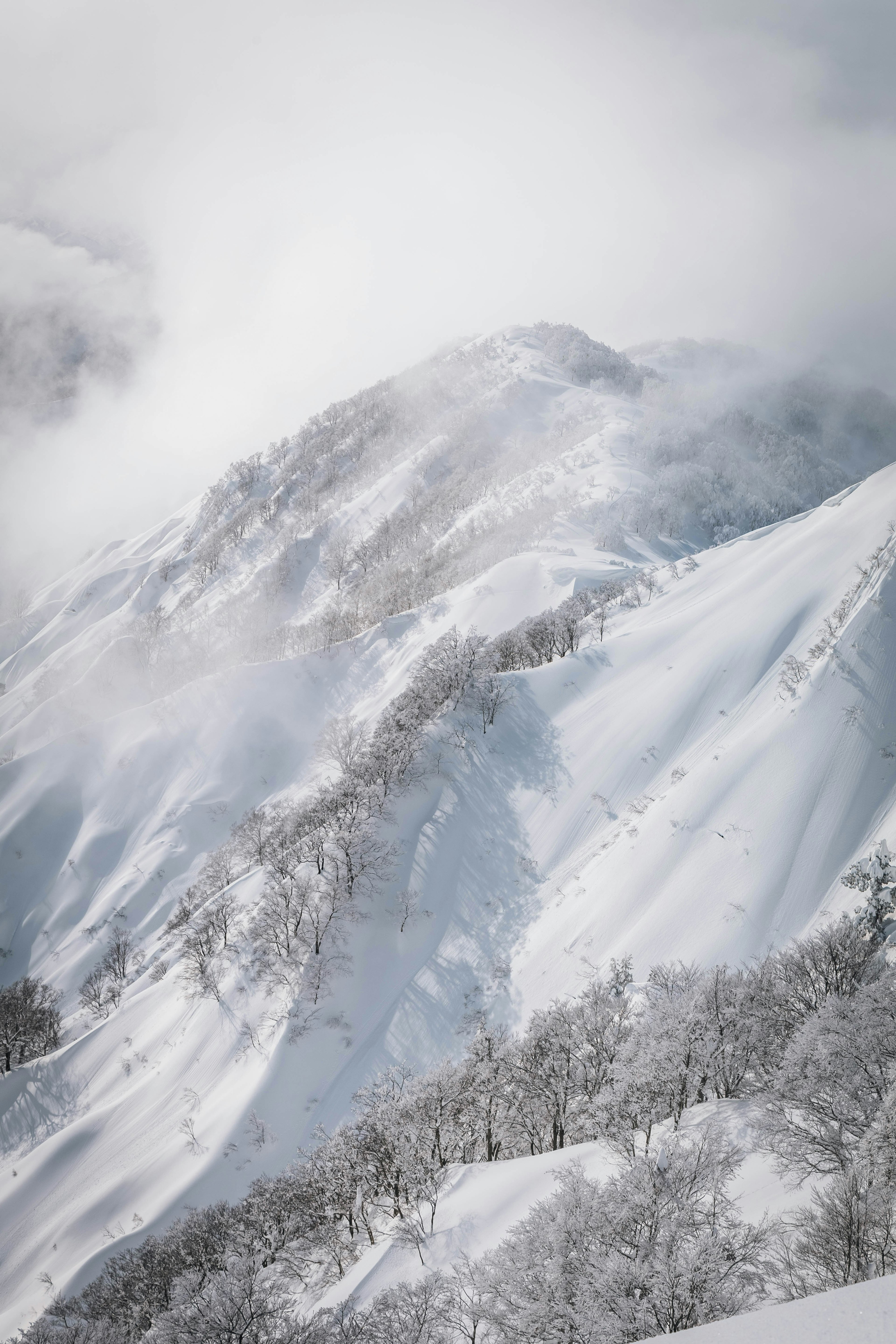 Paesaggio montano innevato con nebbia