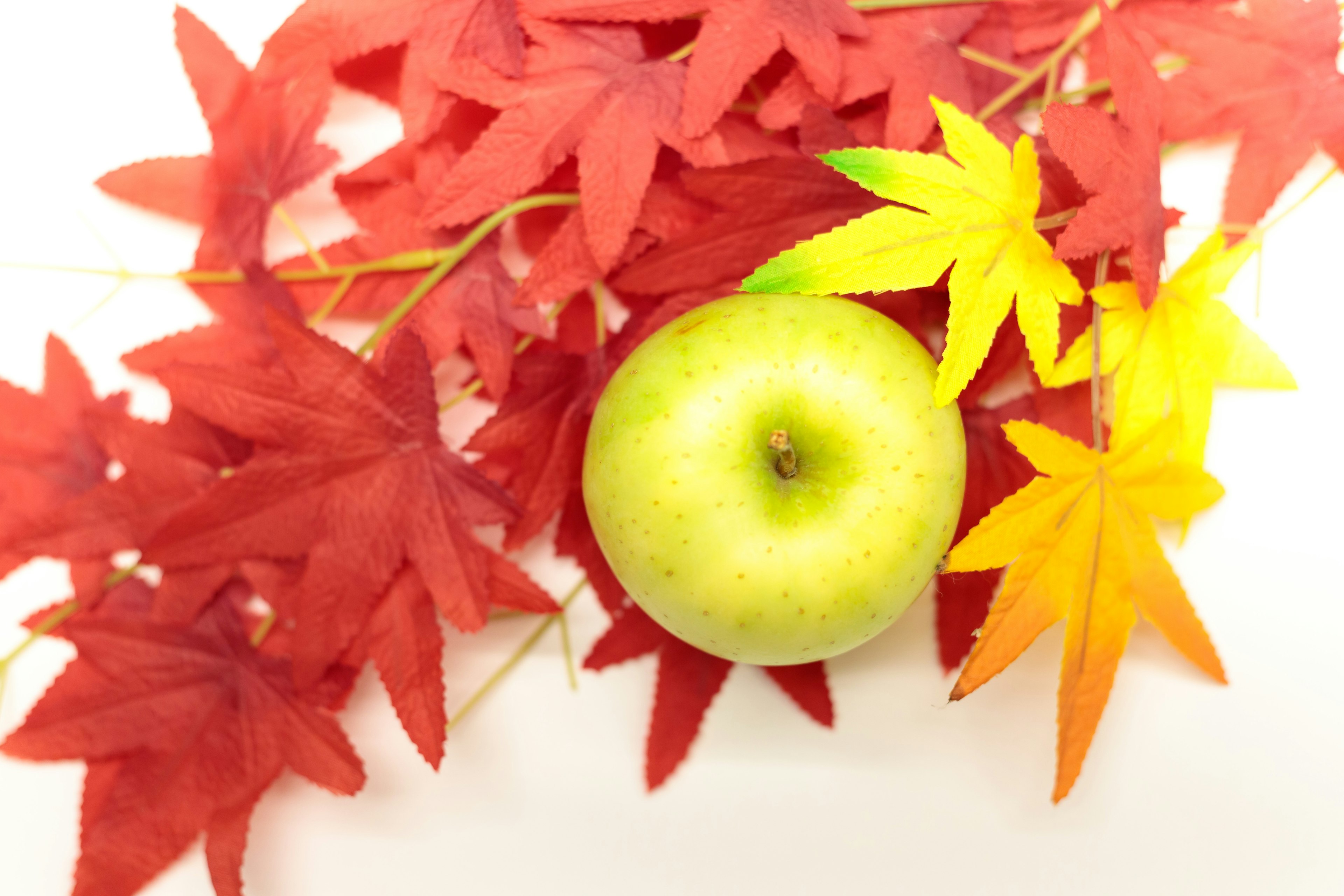 Green apple surrounded by red maple leaves and yellow foliage