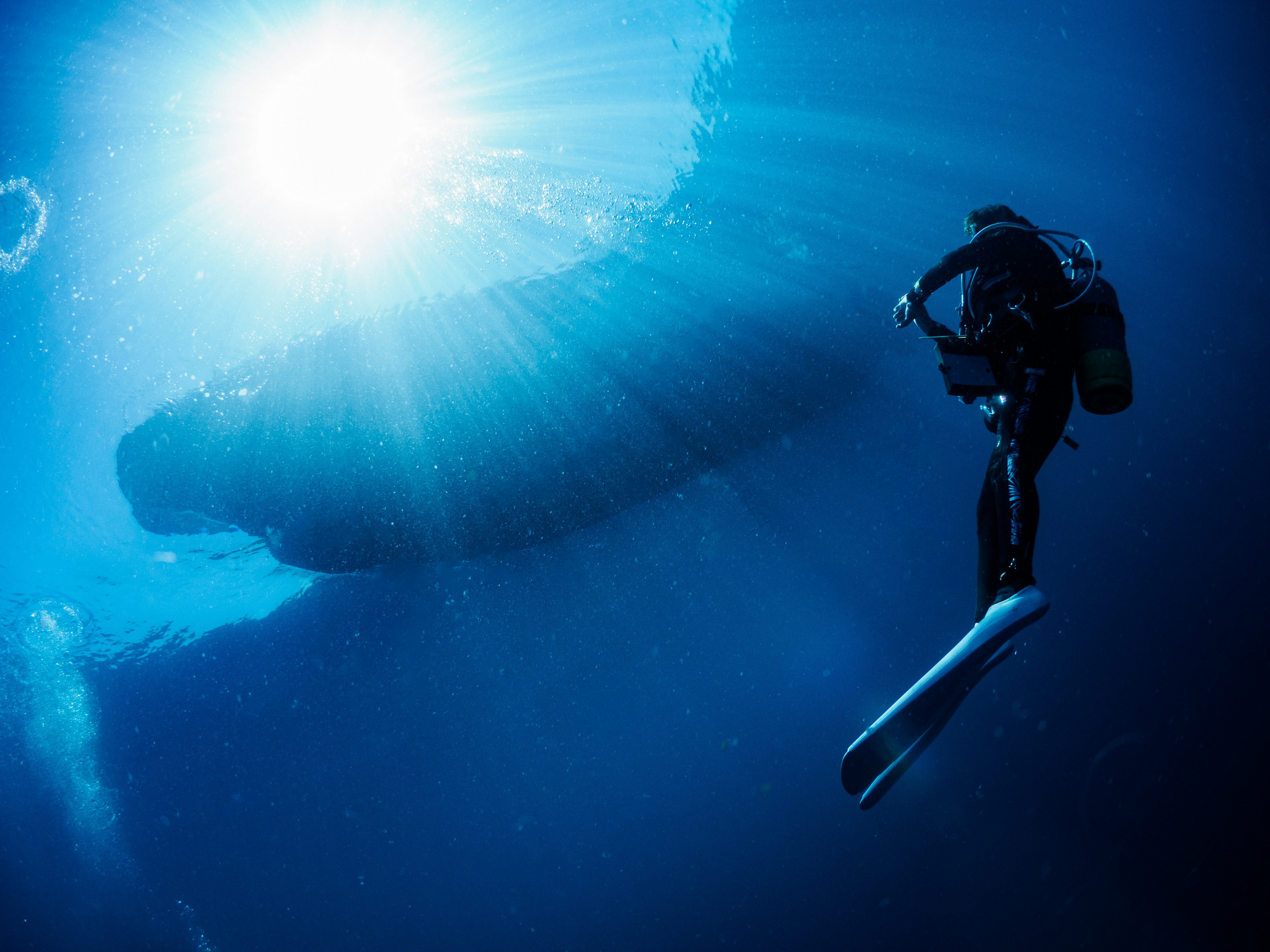 Un plongeur nageant sous l'eau avec la lumière du soleil filtrant à travers l'océan bleu