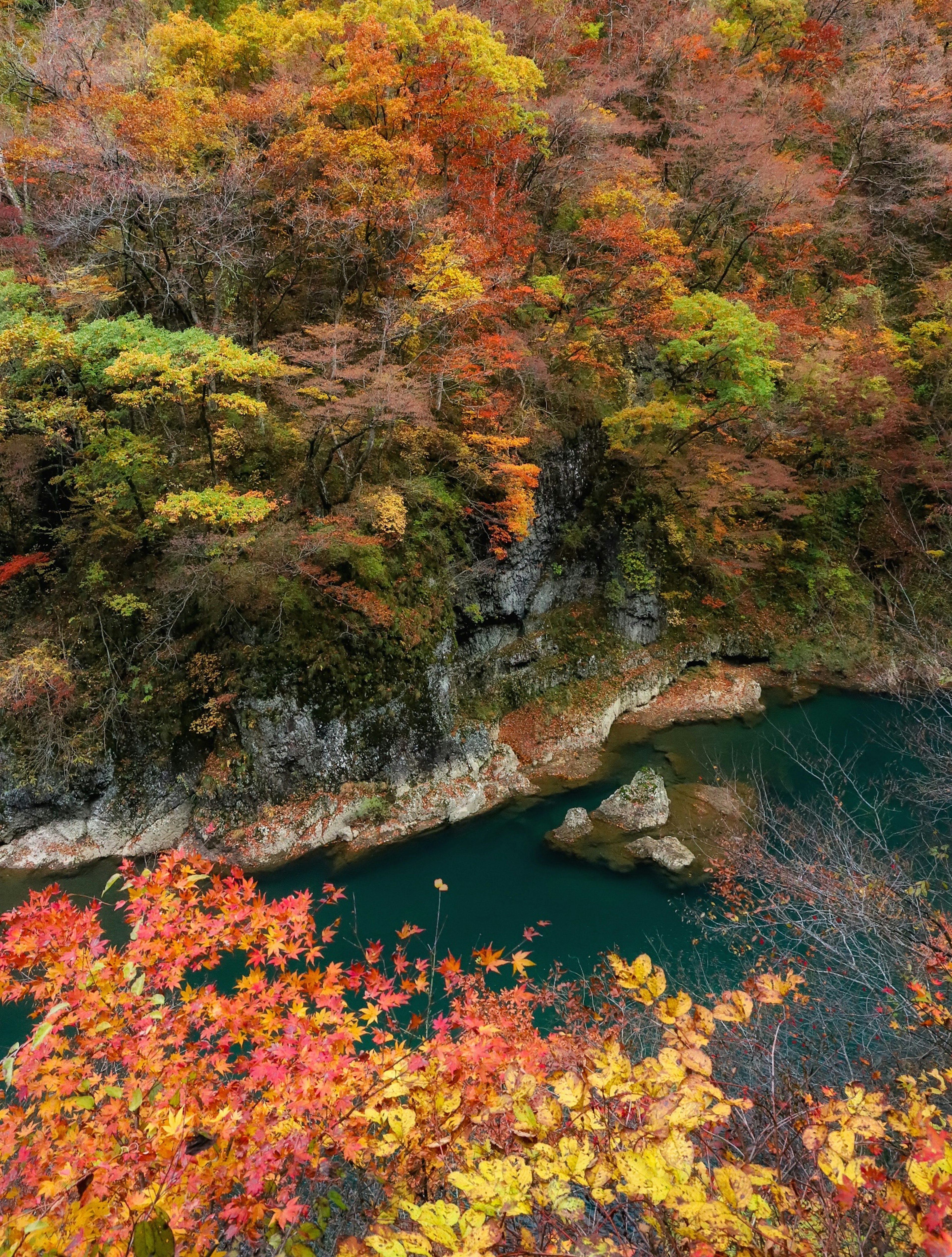 美しい秋の風景 鮮やかな紅葉と緑の川