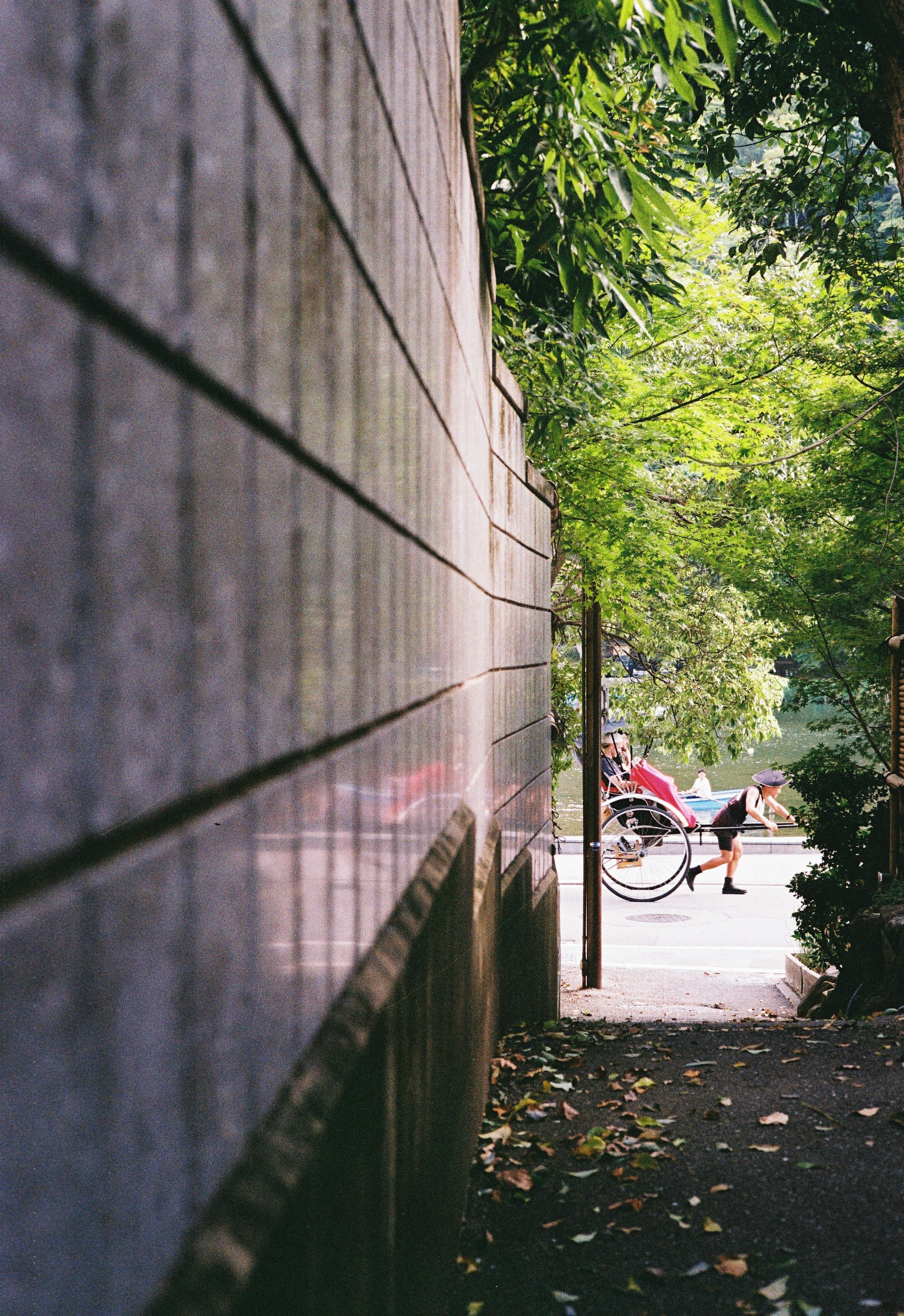 Narrow path bordered by a stone wall with a bicycle parked nearby