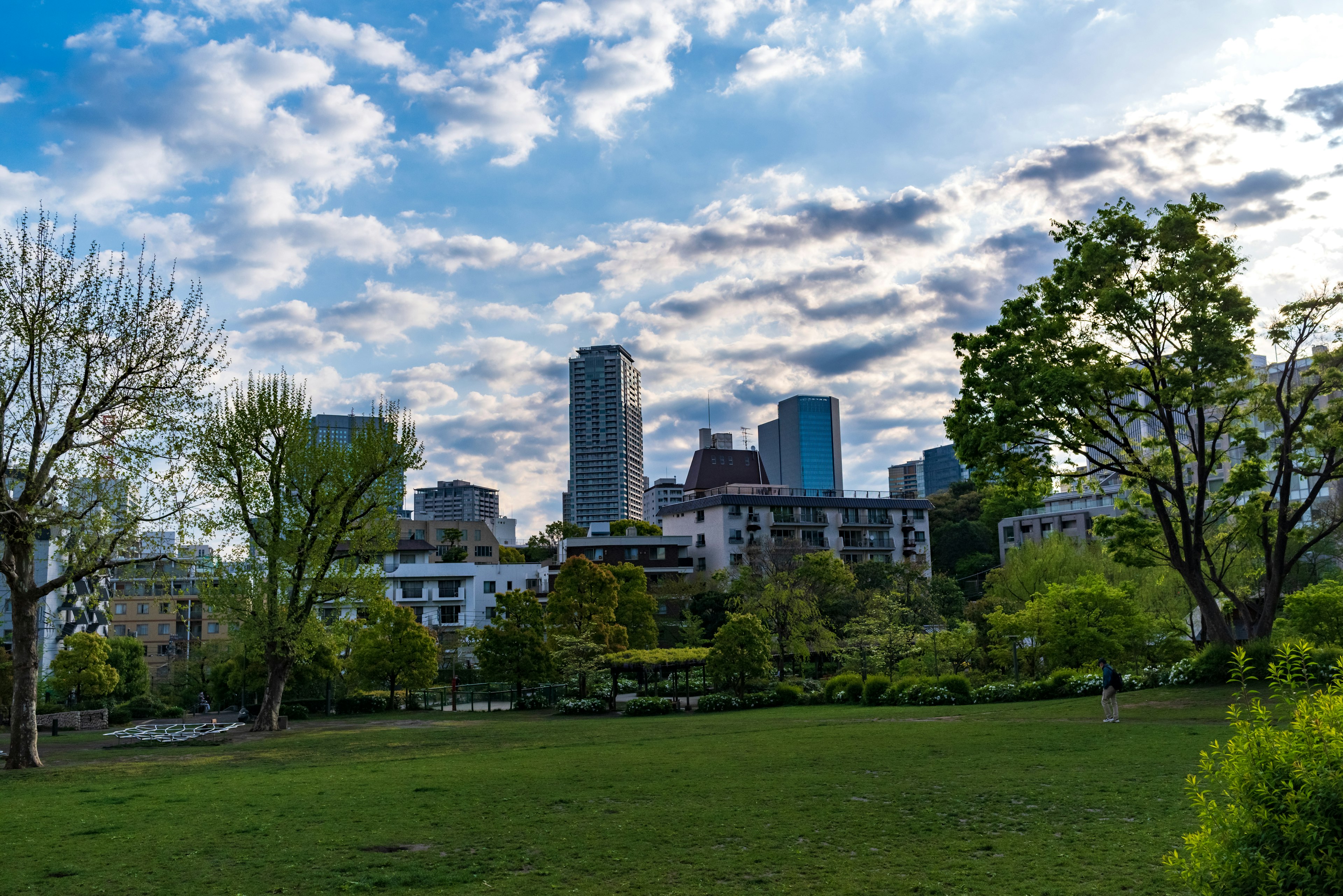 Städtische Landschaft mit blauem Himmel und weißen Wolken grüner Park im Vordergrund und Wolkenkratzer im Hintergrund