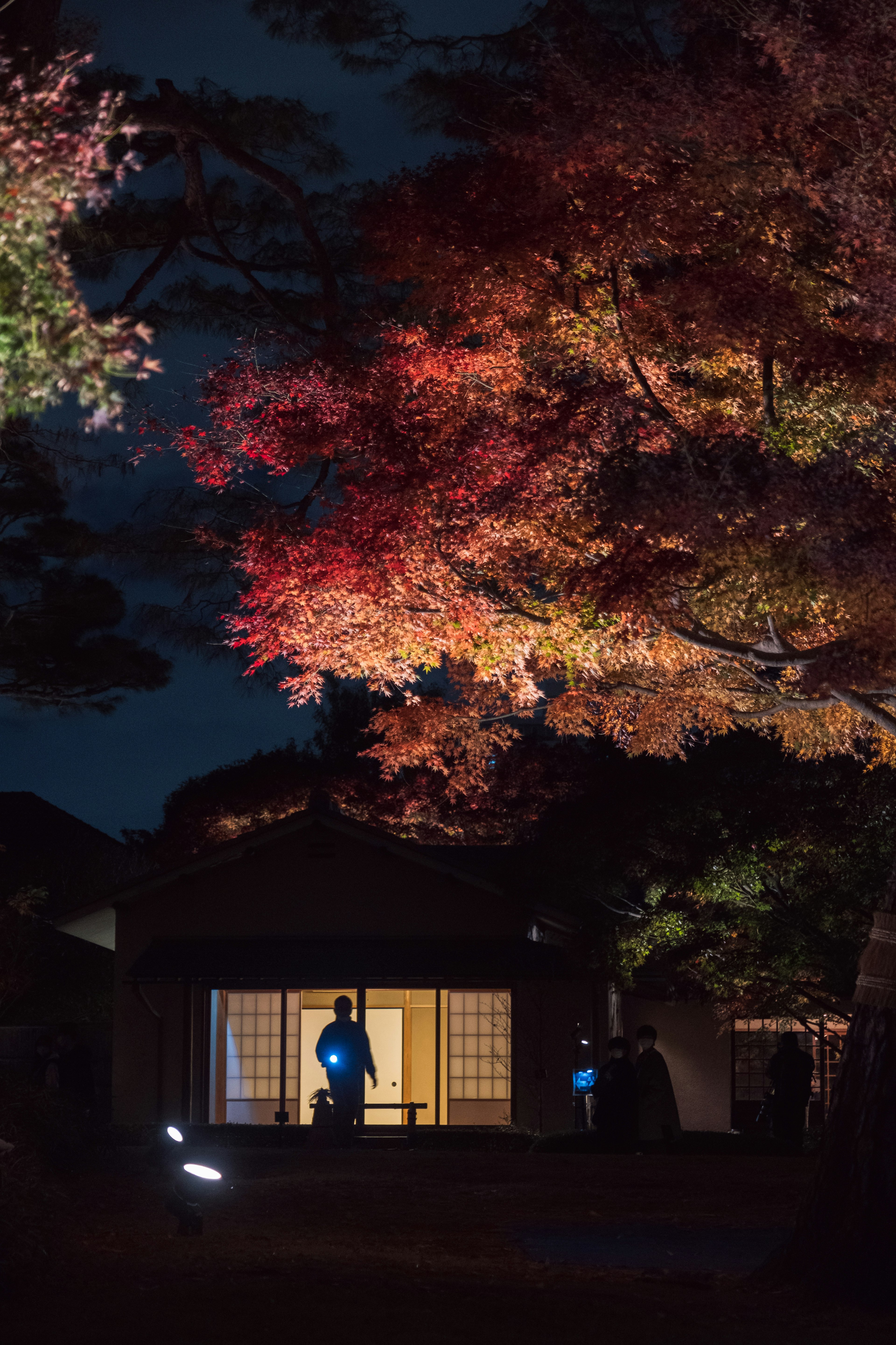 Fogliame autunnale illuminato di notte con una casa giapponese tradizionale