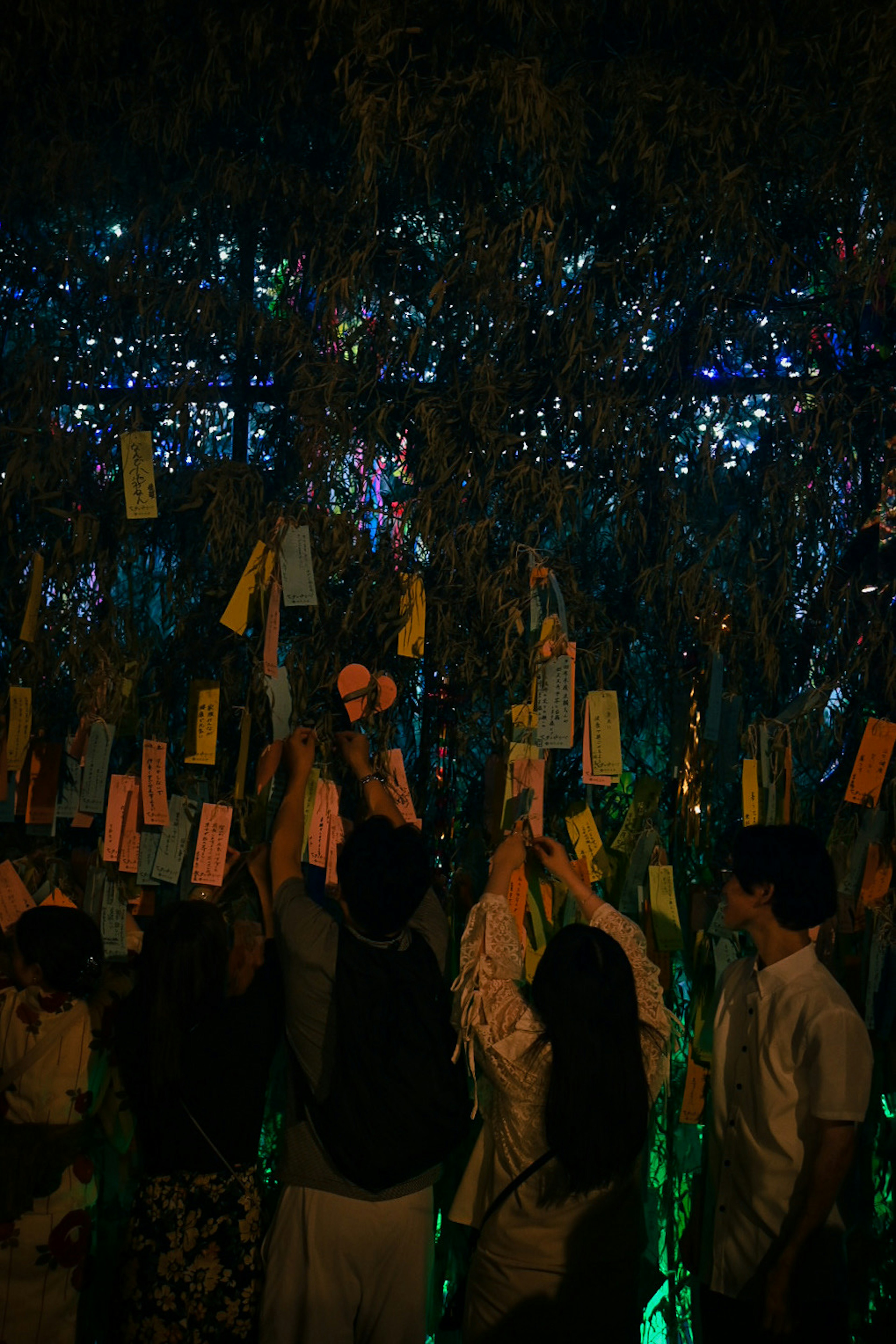 Colorful wish cards hanging on illuminated bamboo trees at night