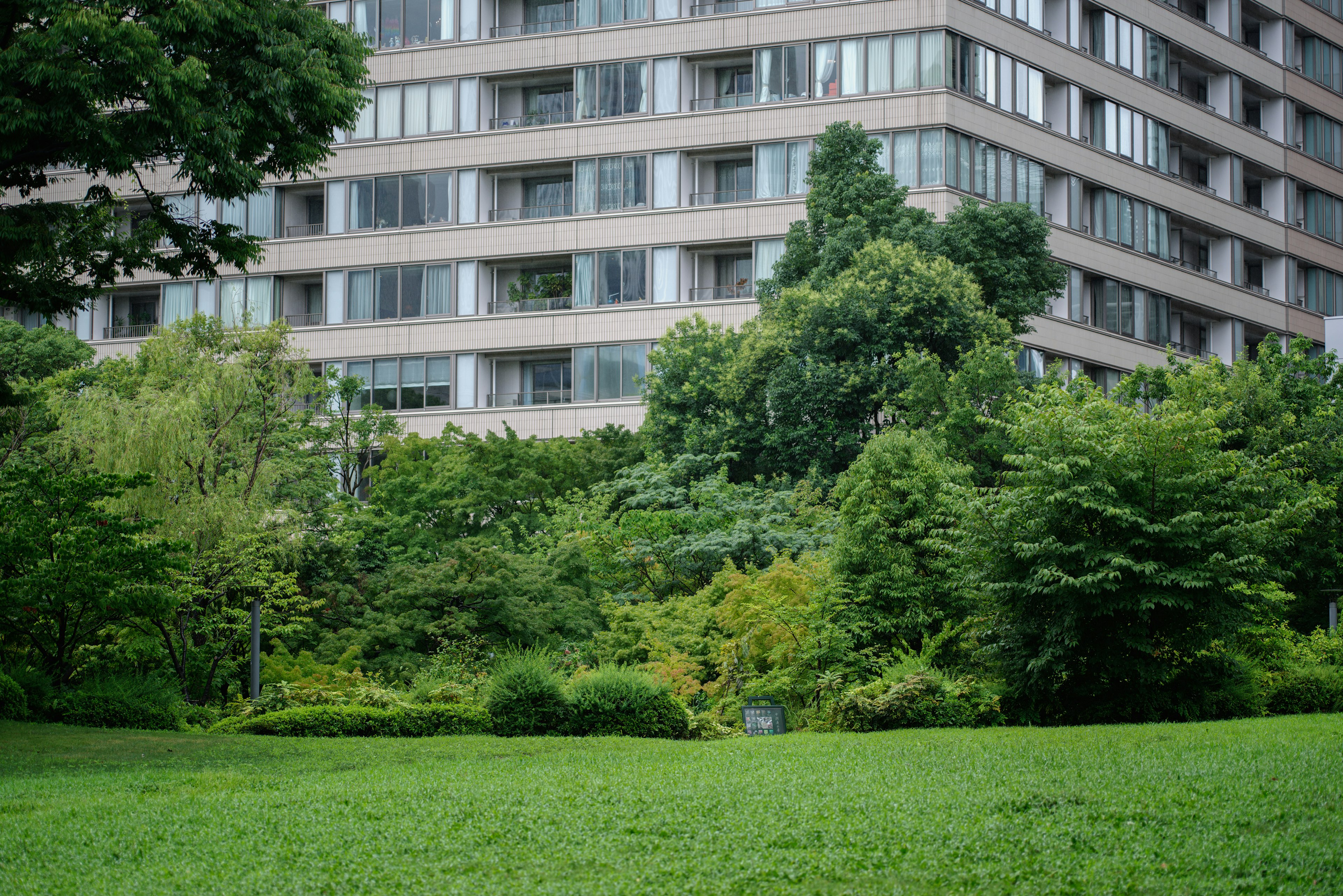 Parque verde exuberante con un edificio de gran altura al fondo