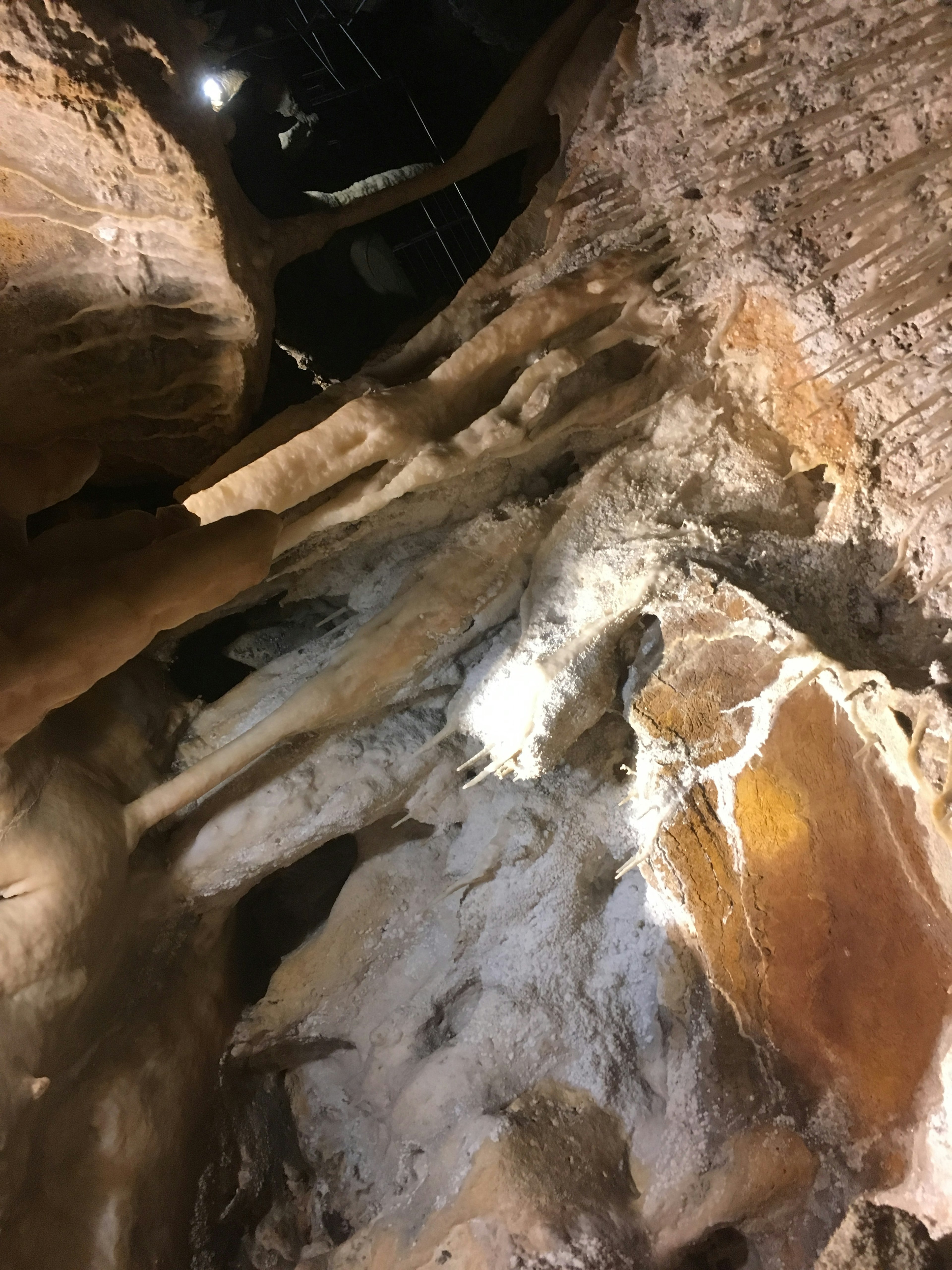 Interior of an underground limestone cave with visible tree roots and rock formations