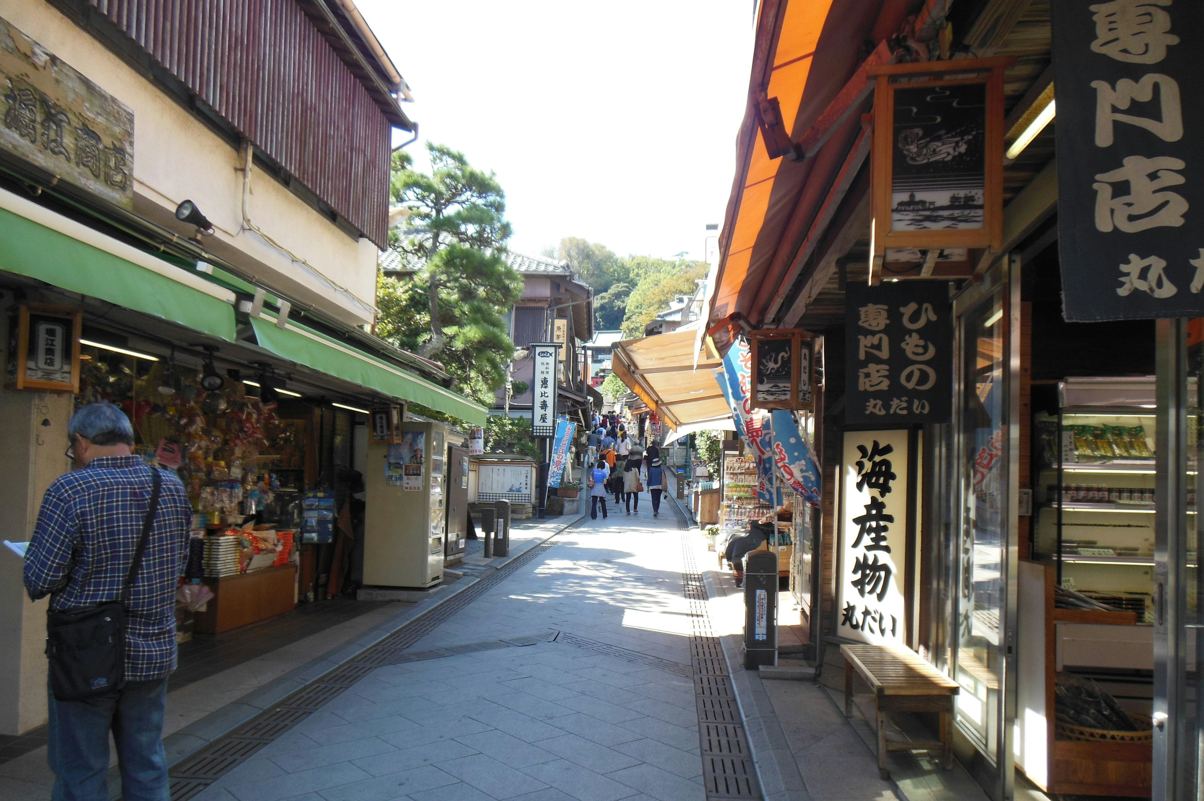 Narrow street lined with traditional shops and tourists