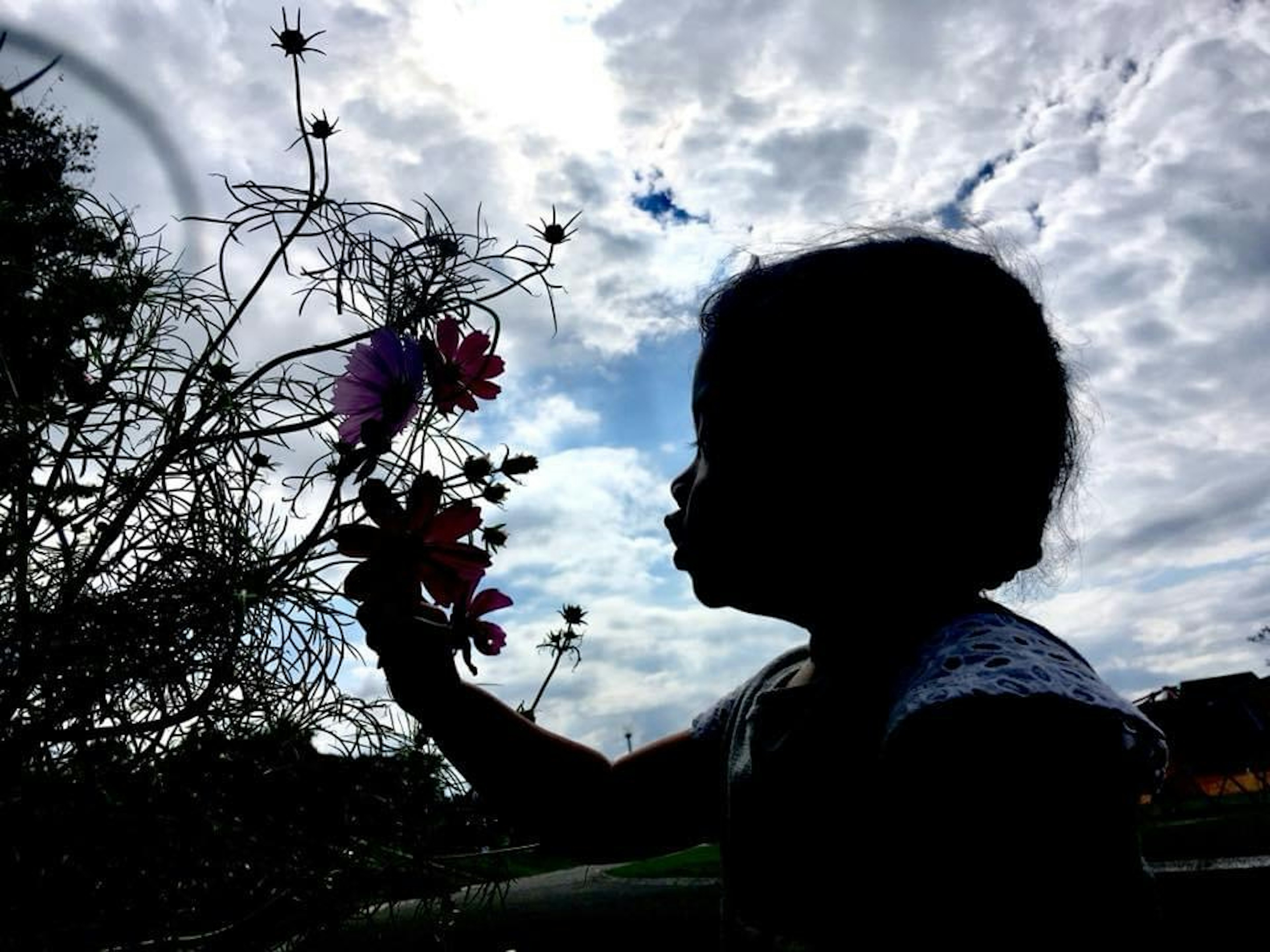 Silhouette di un bambino che tiene un fiore con nuvole sullo sfondo