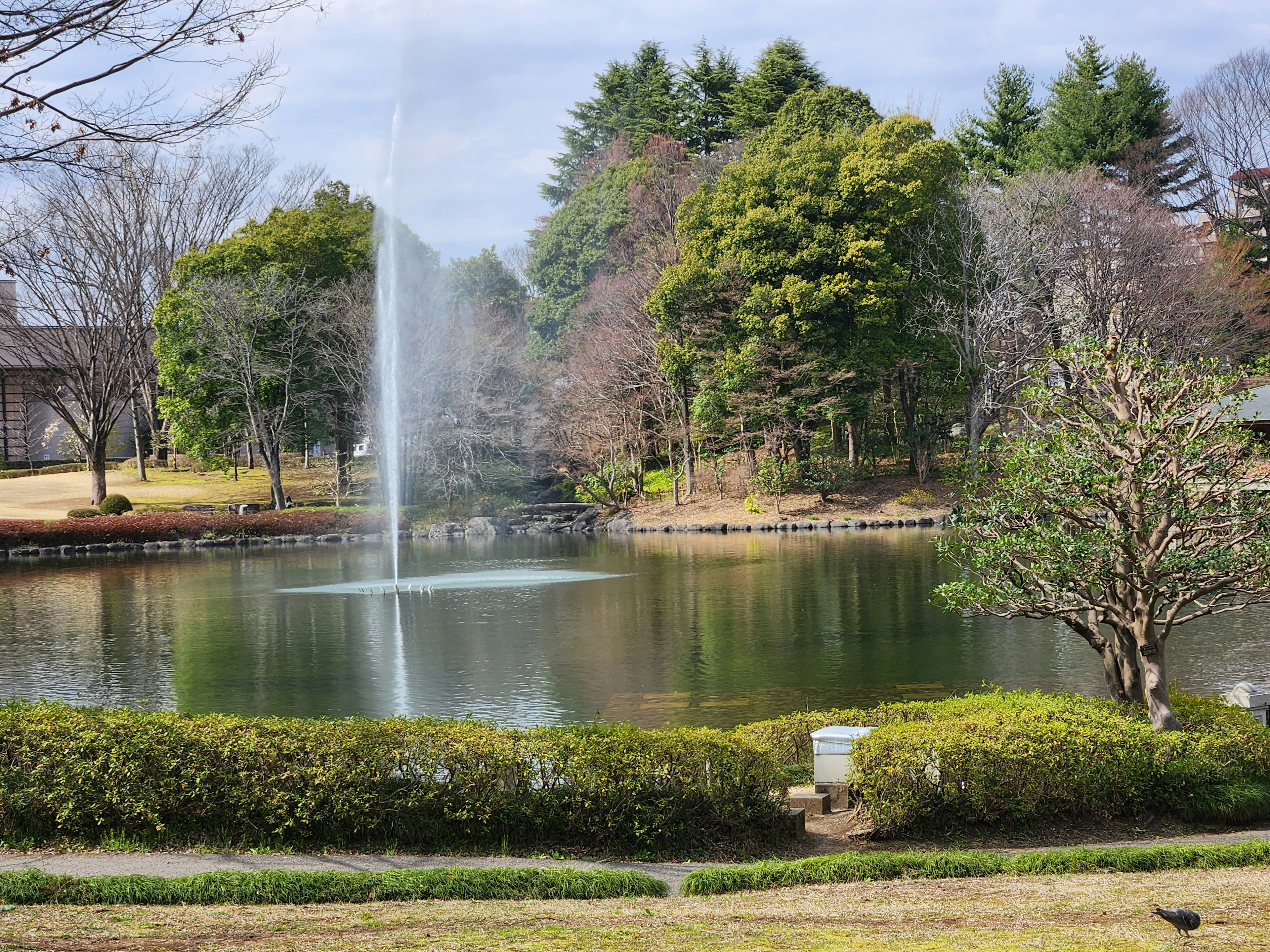 Étang de parc serein avec une fontaine et une végétation luxuriante