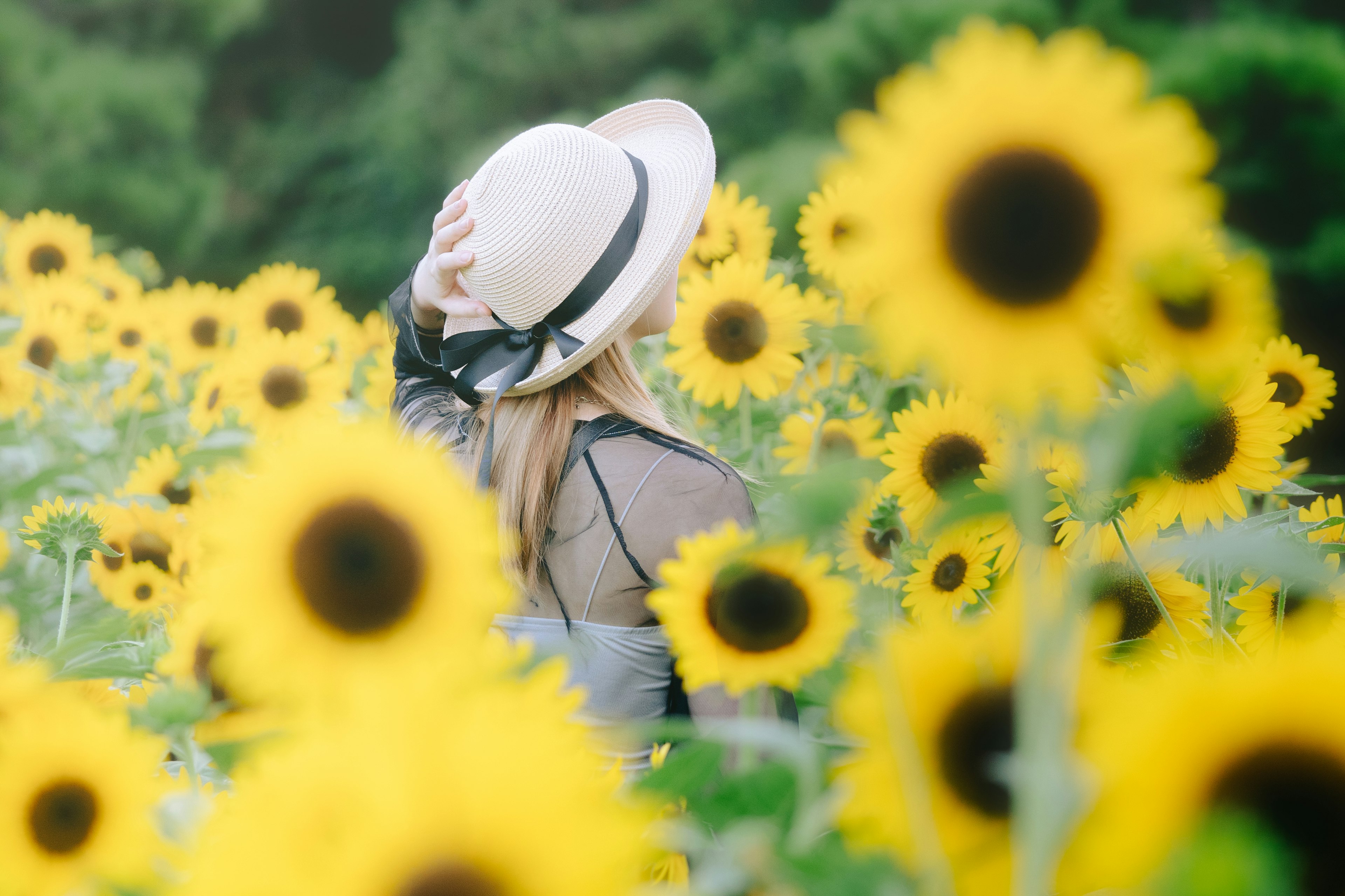 Una mujer con sombrero girando en un campo de girasoles