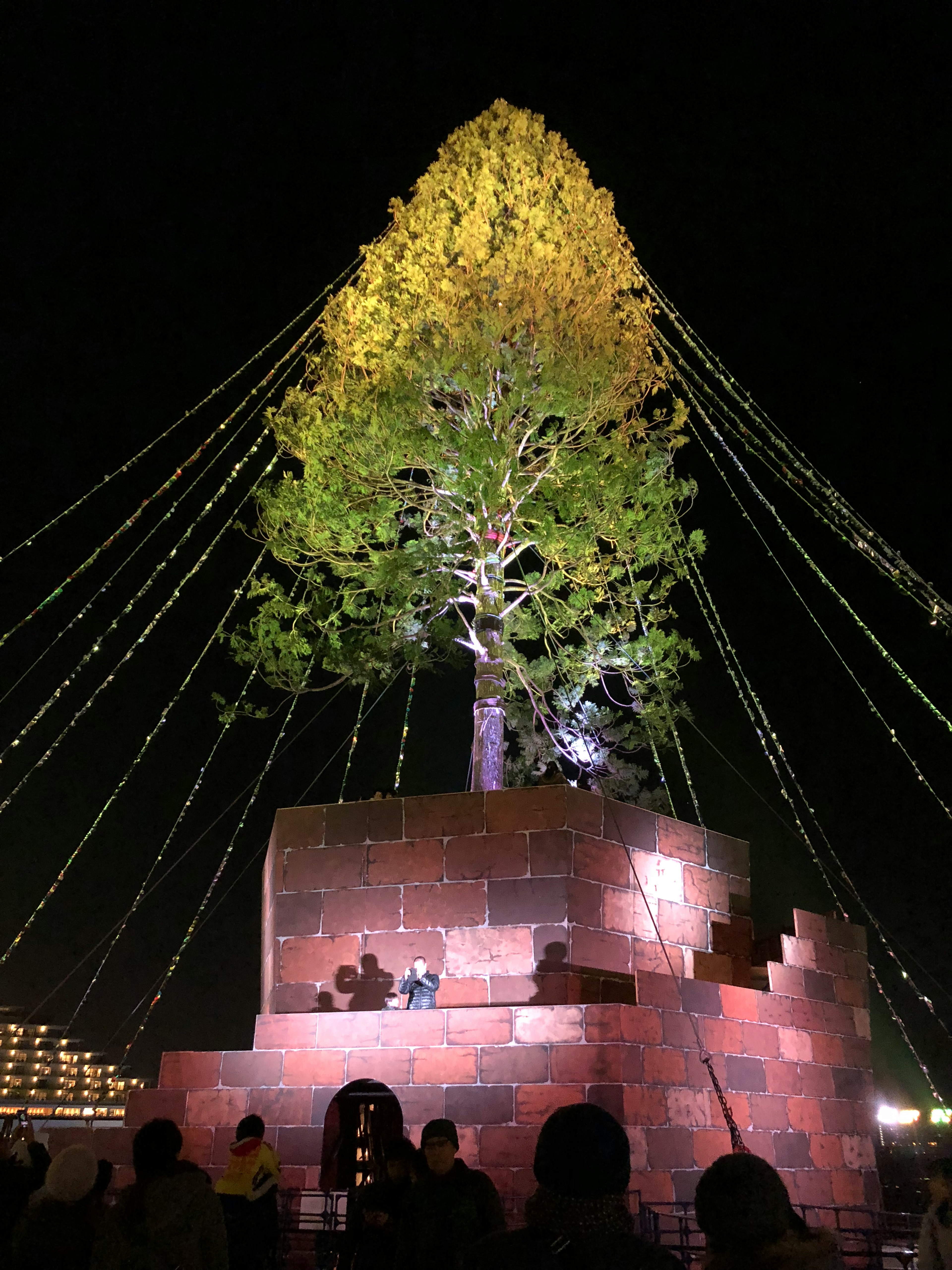 Großer beleuchteter Baum bei Nacht mit dekorativen Schnüren