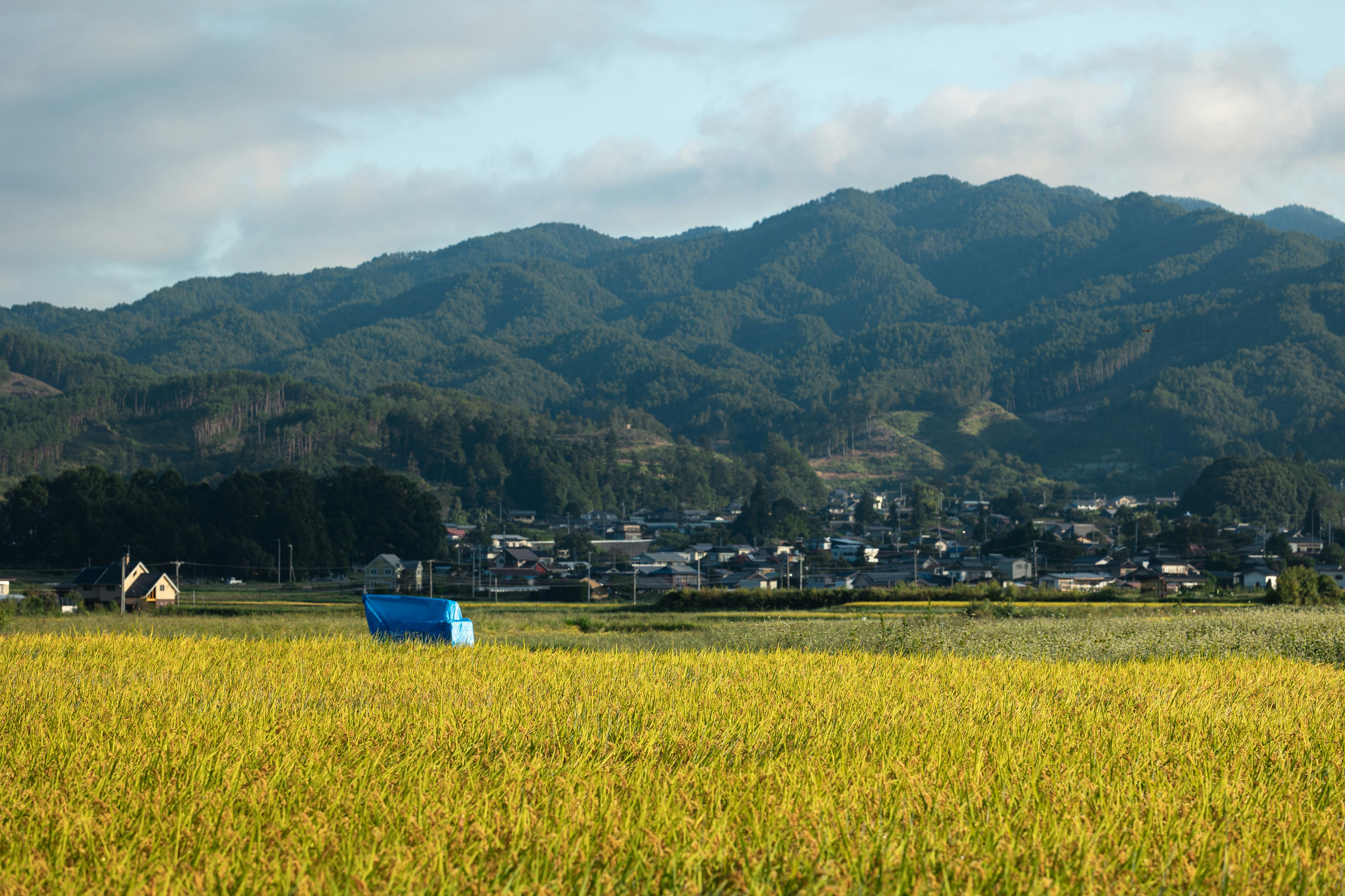 Pemandangan desa dikelilingi sawah dan gunung