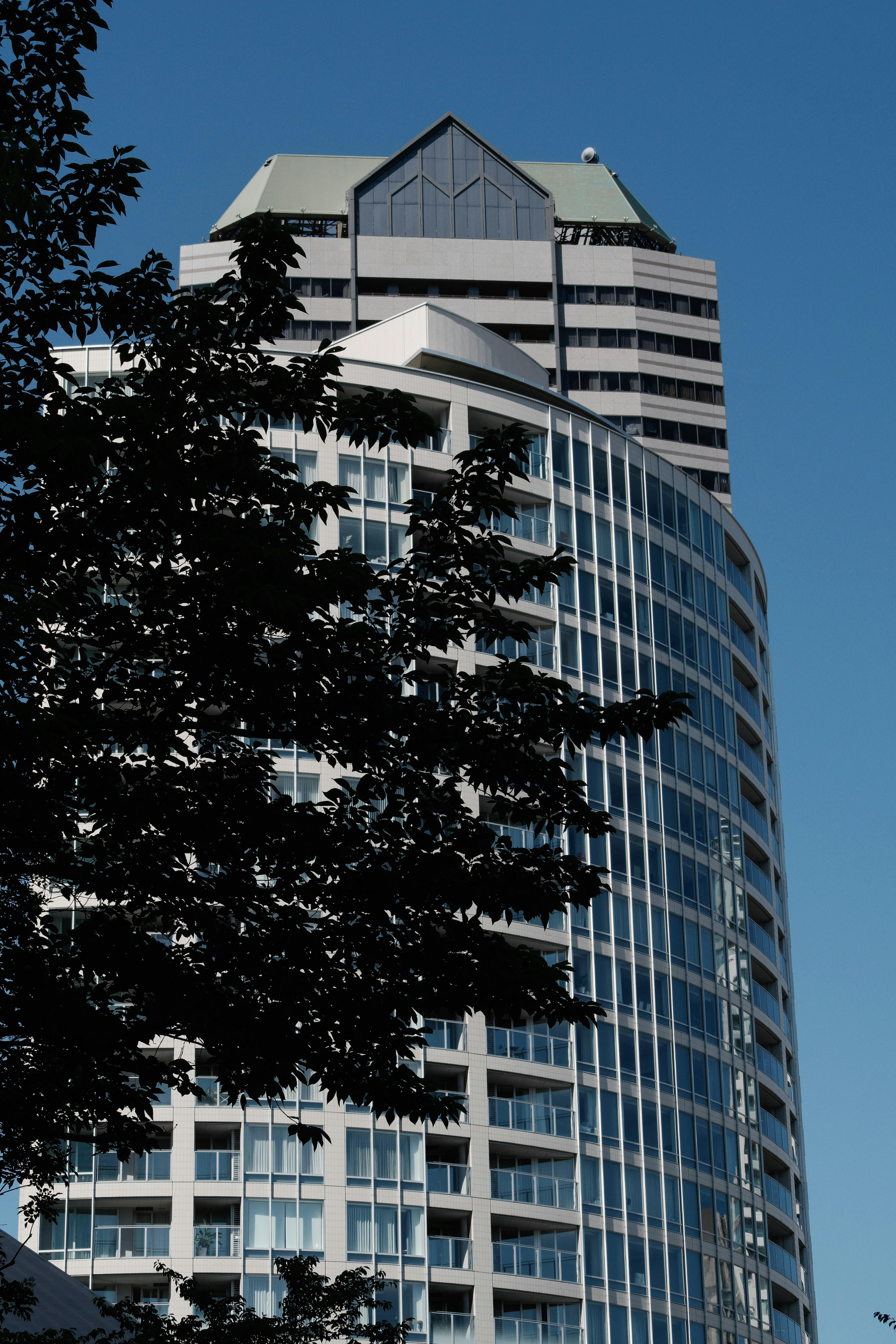 Image of a modern building towering under a blue sky with tree leaves in the foreground highlighting the unique design