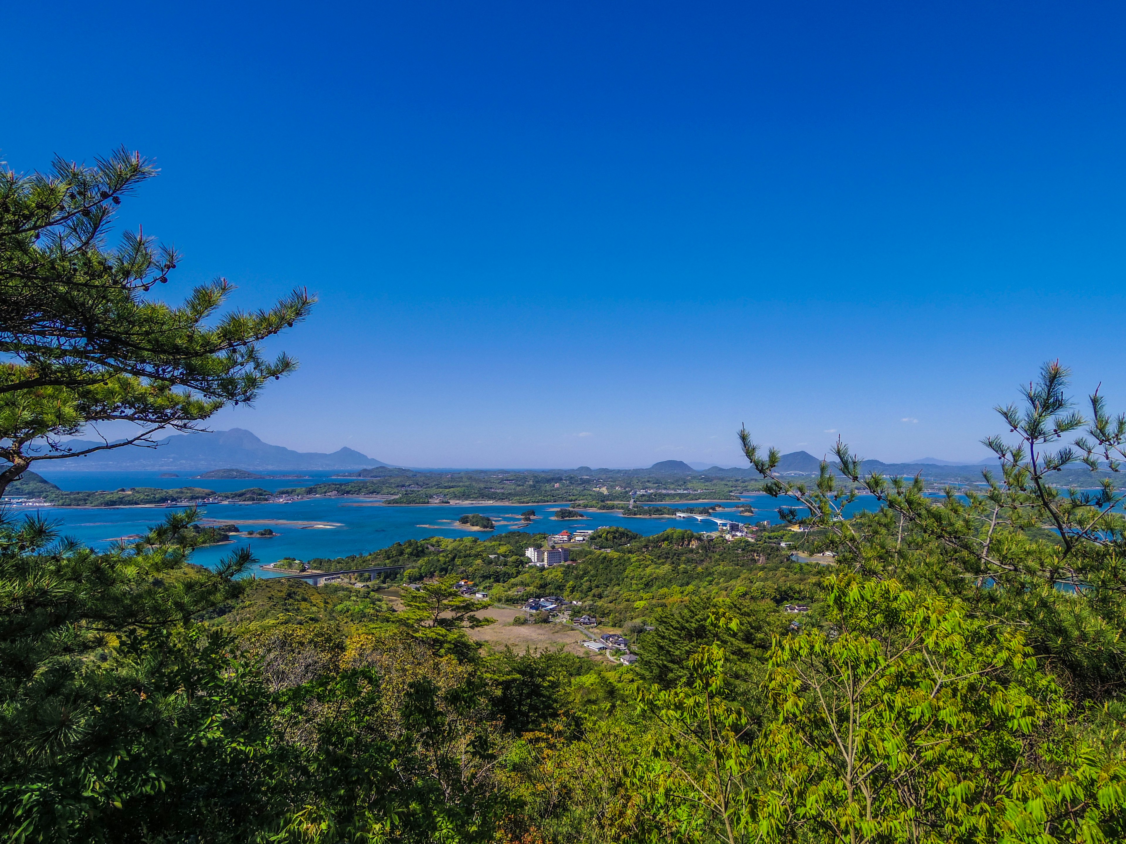 Vista escénica del cielo azul y árboles verdes sobre el mar