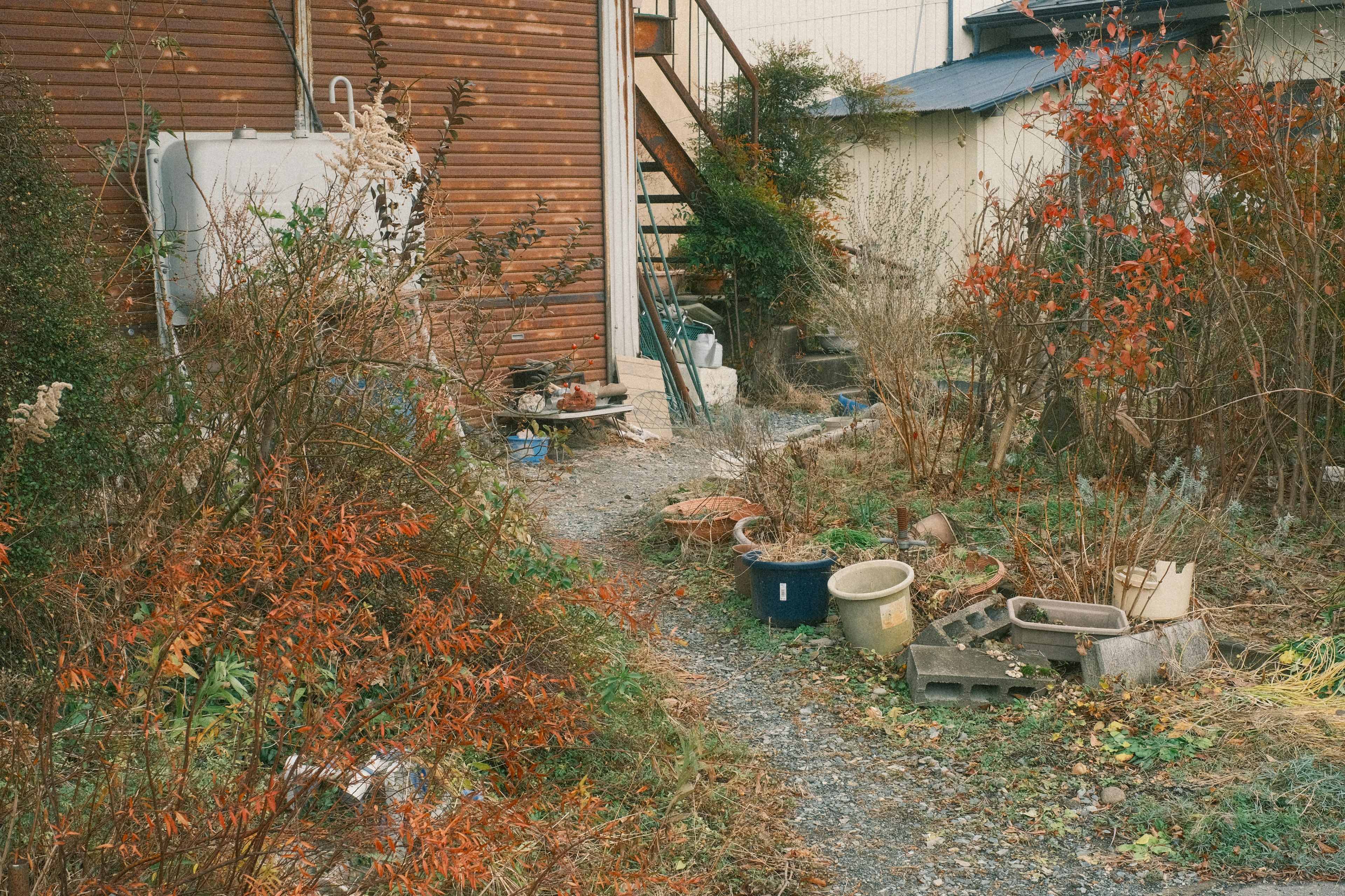 木製の建物の横にある荒れた庭と色づいた植物