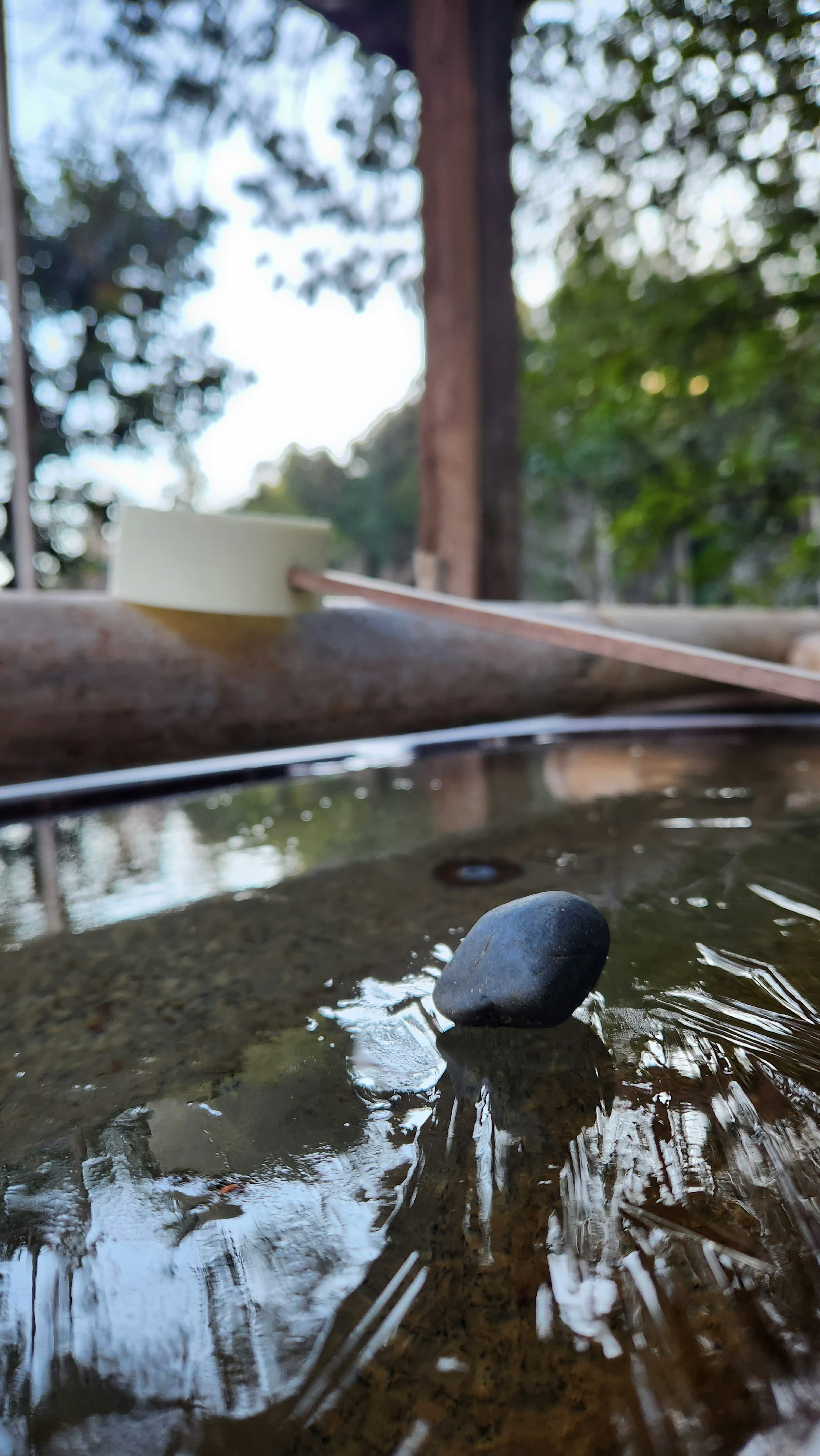 A black stone floating on water with bamboo decor in a natural setting