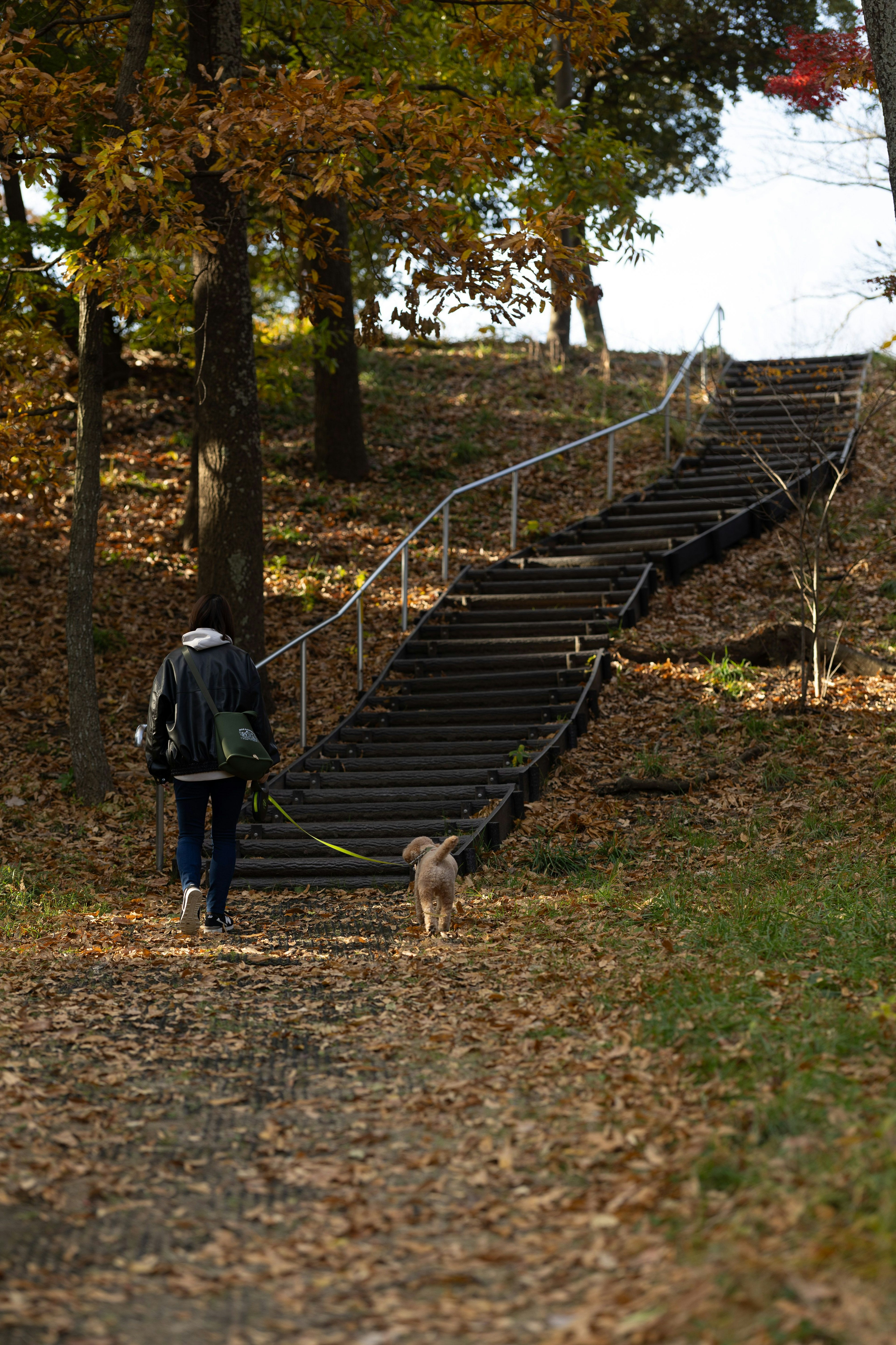 Personne marchant avec un chien sur des escaliers en bois dans un paysage d'automne