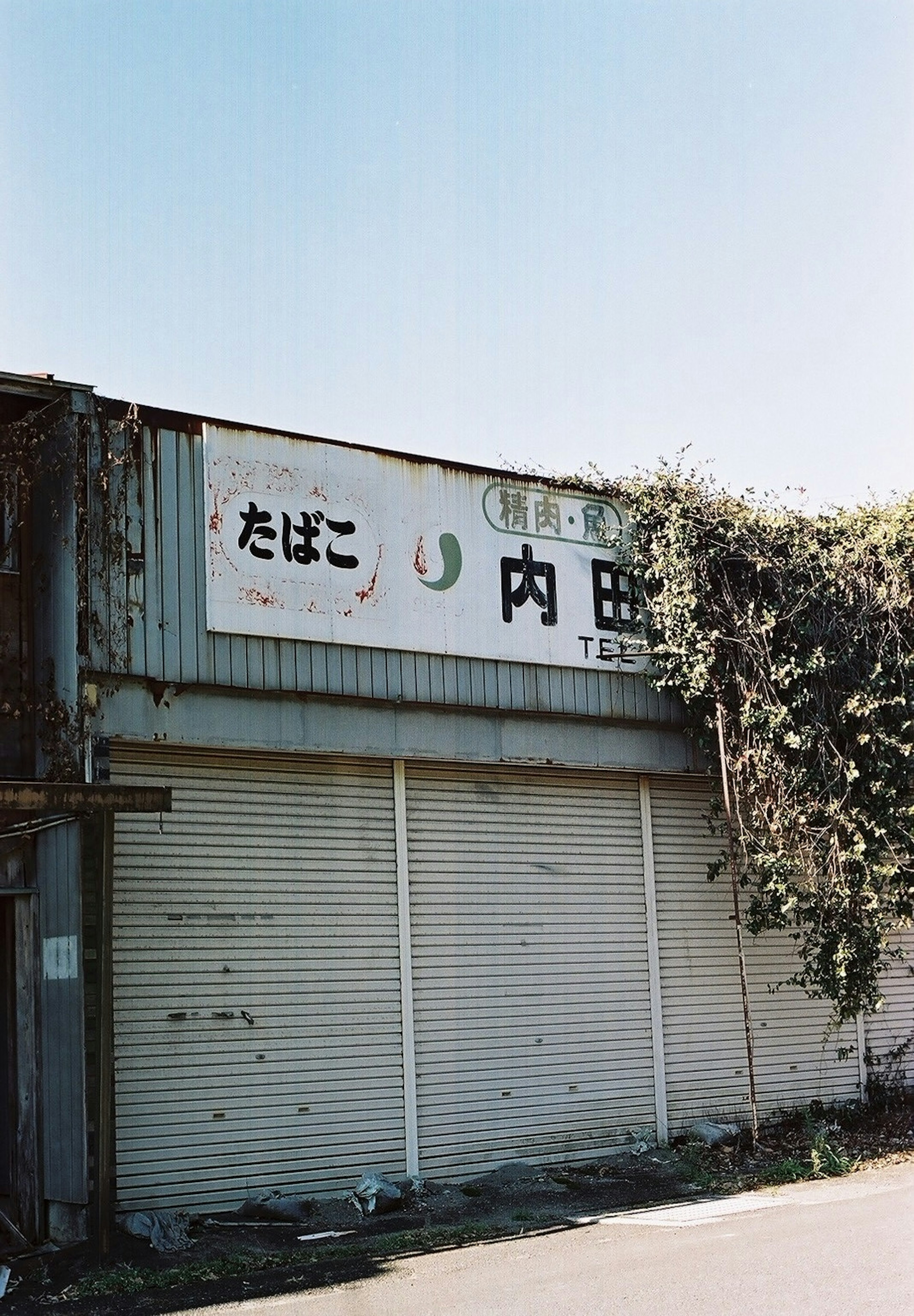 Exterior of an old shop covered with plants and a sign