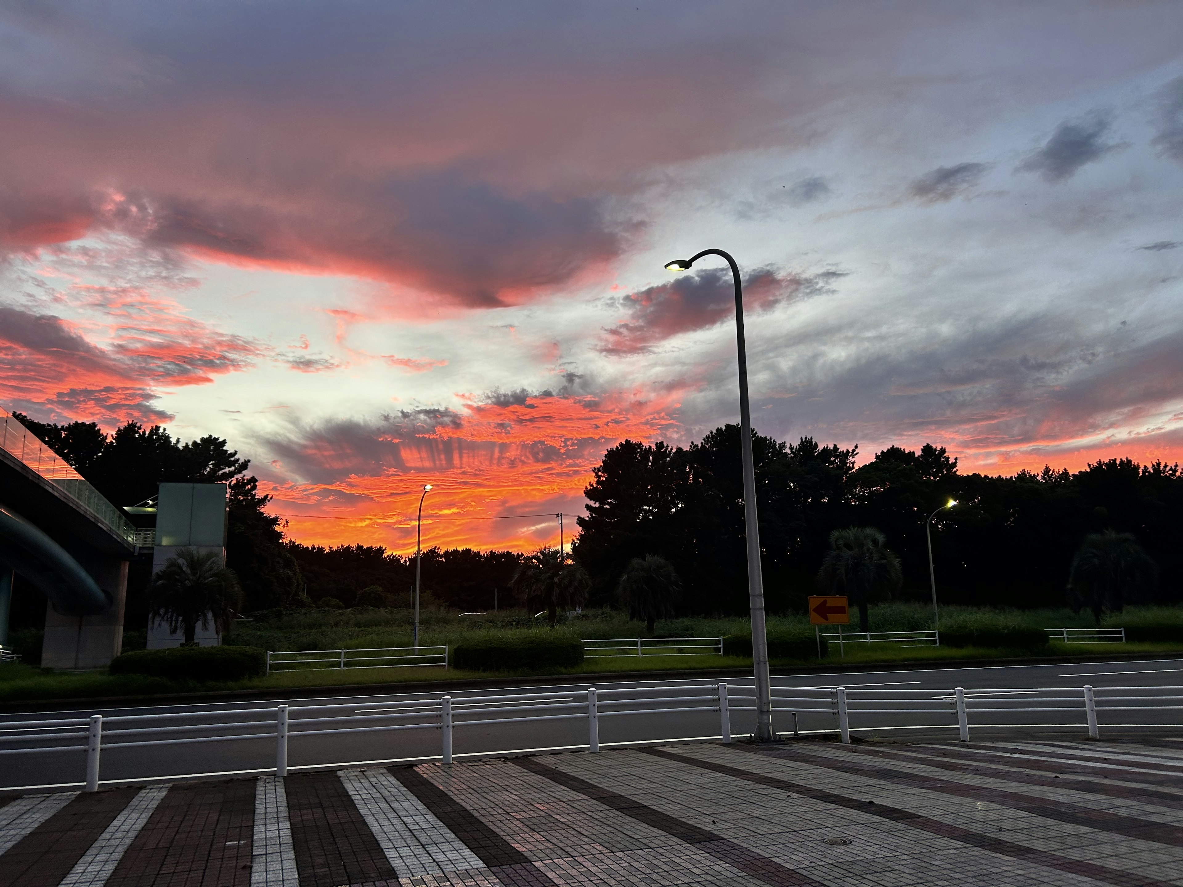 Malerscher Blick auf einen Sonnenuntergangshimmel mit lebhaften Farben und einer Straße, die von Bäumen und Straßenlaternen gesäumt ist