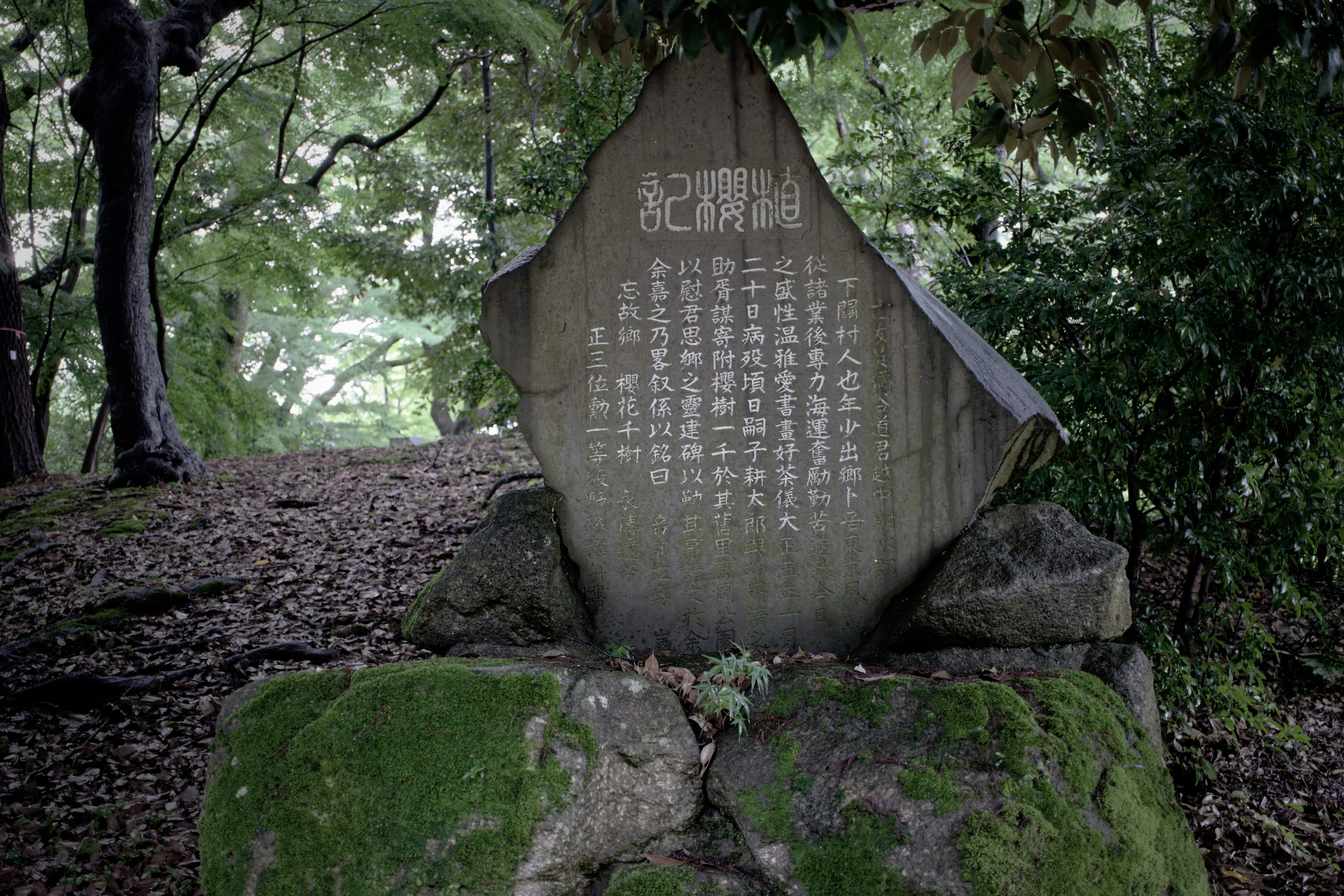 Monumen batu tua yang ditutupi tanaman hijau dengan tulisan dalam bahasa Jepang
