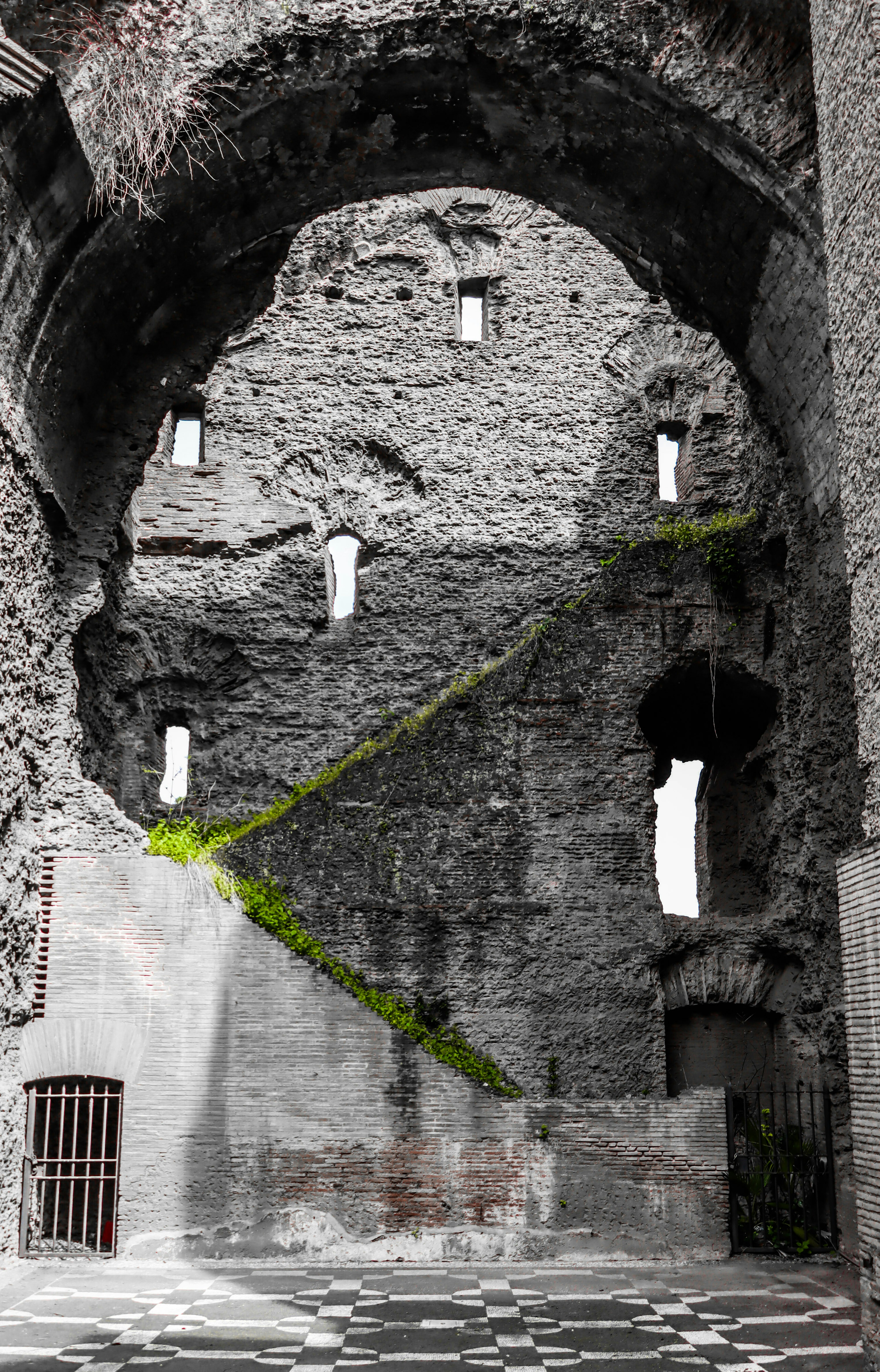 Intérieur d'un ancien bâtiment en pierre plantes vertes poussant sur le mur formes de fenêtres distinctives