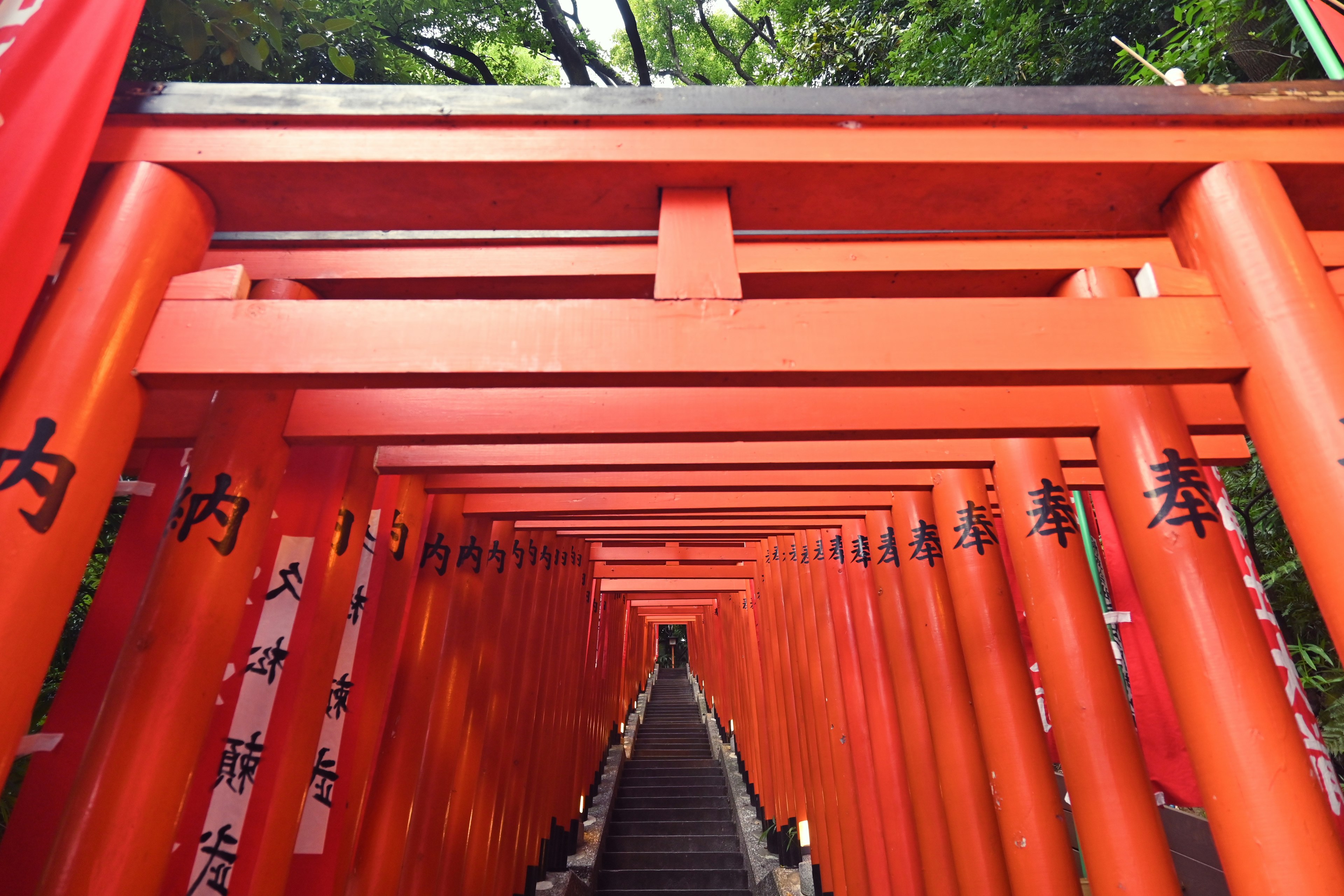 Pathway lined with red torii gates at a shrine