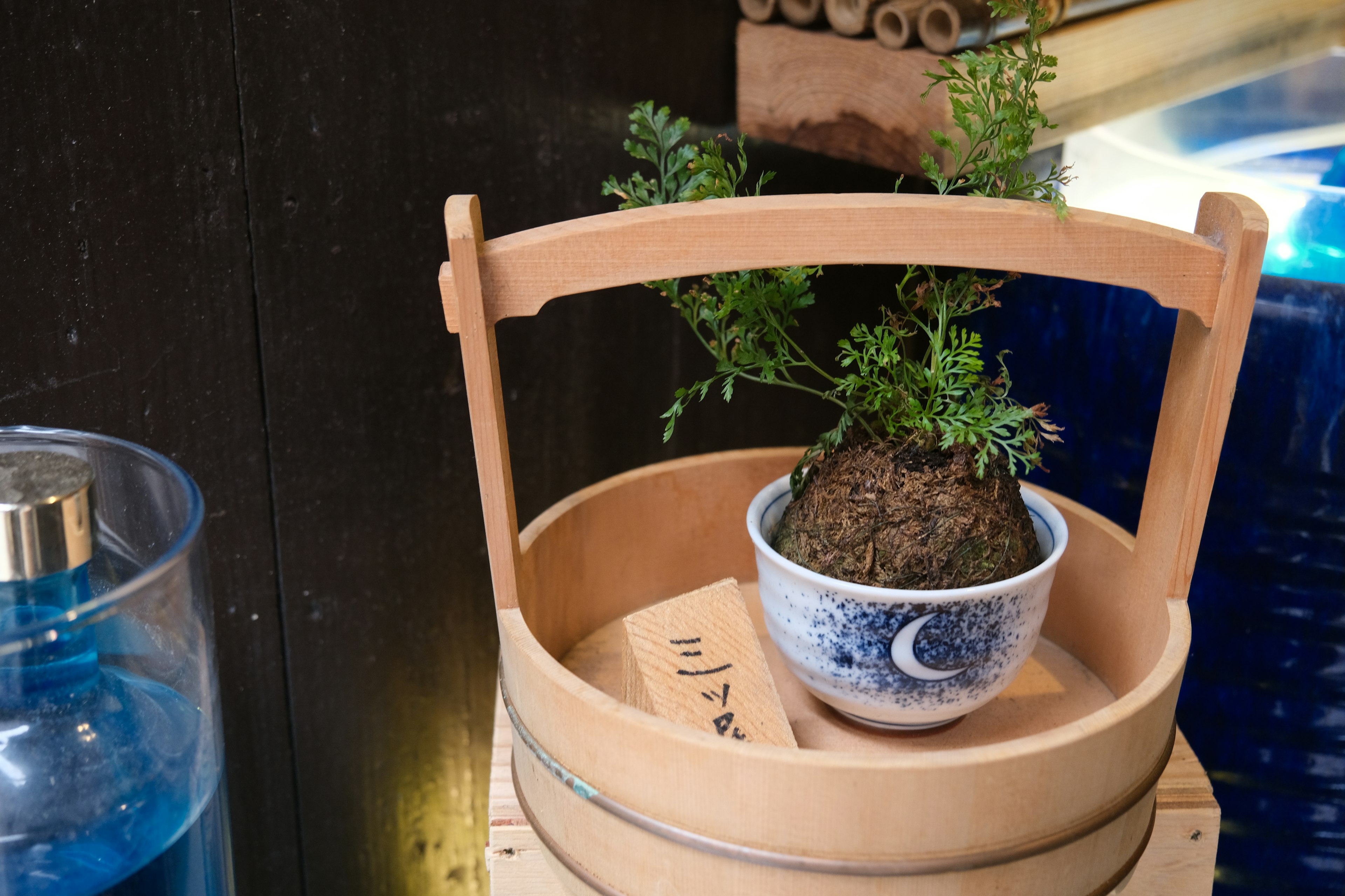 A wooden basket containing a plant and a blue ceramic bowl