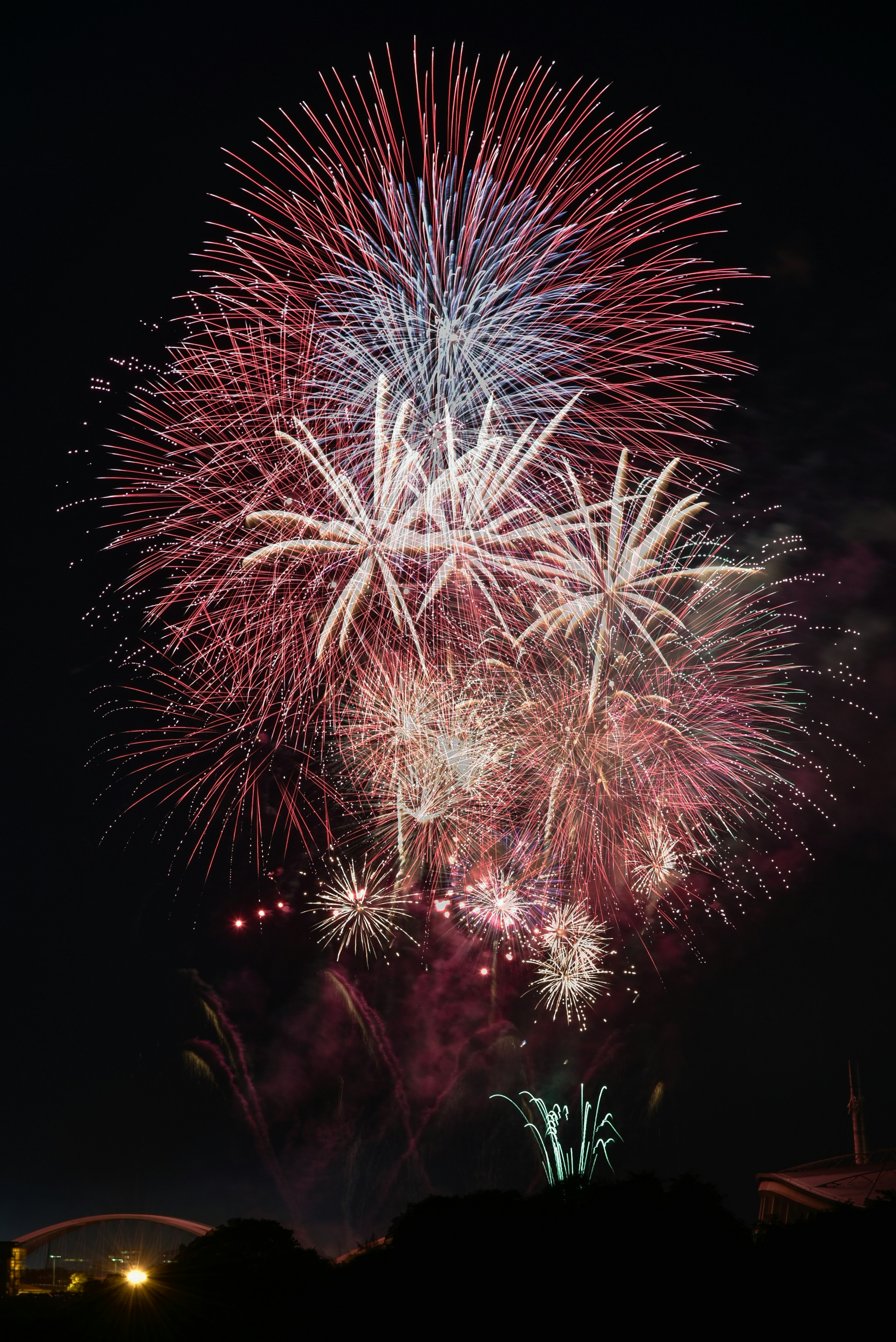 Spettacolo di fuochi d'artificio colorati che illuminano il cielo notturno