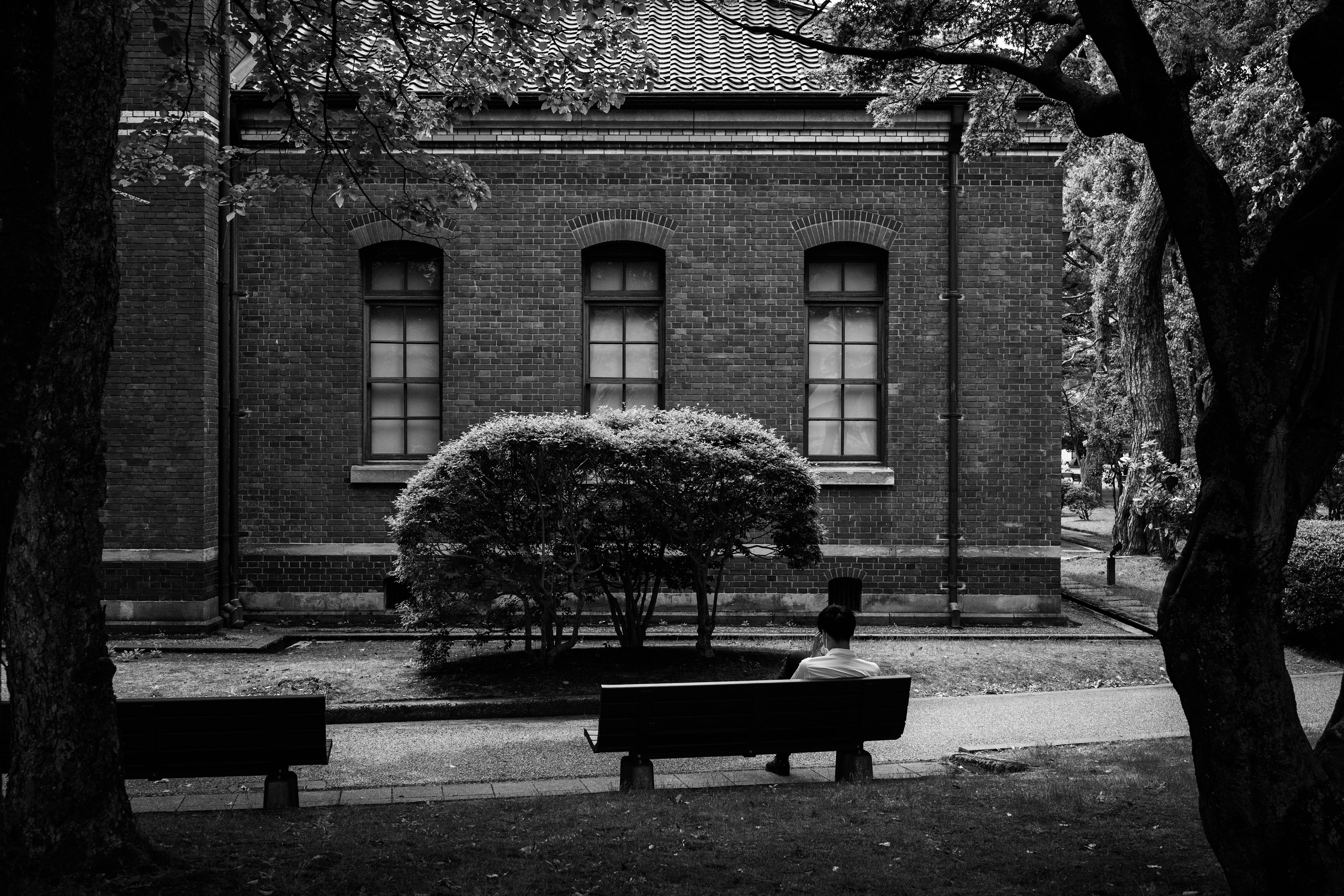 Quiet park scene with benches and a bush monochrome building in the background