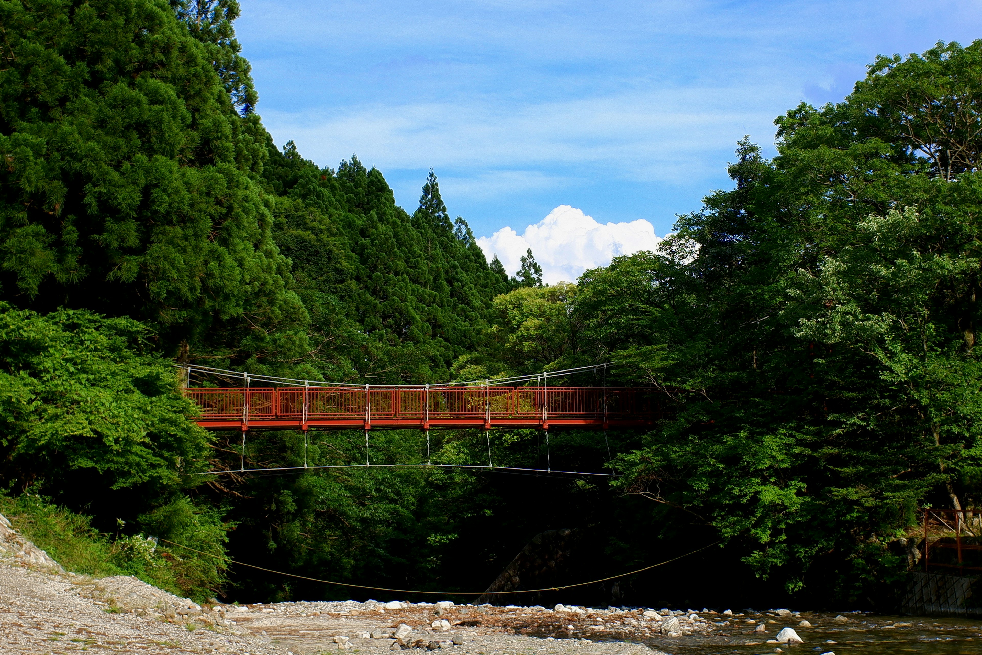 Rote Hängebrücke über einen üppigen grünen Wald