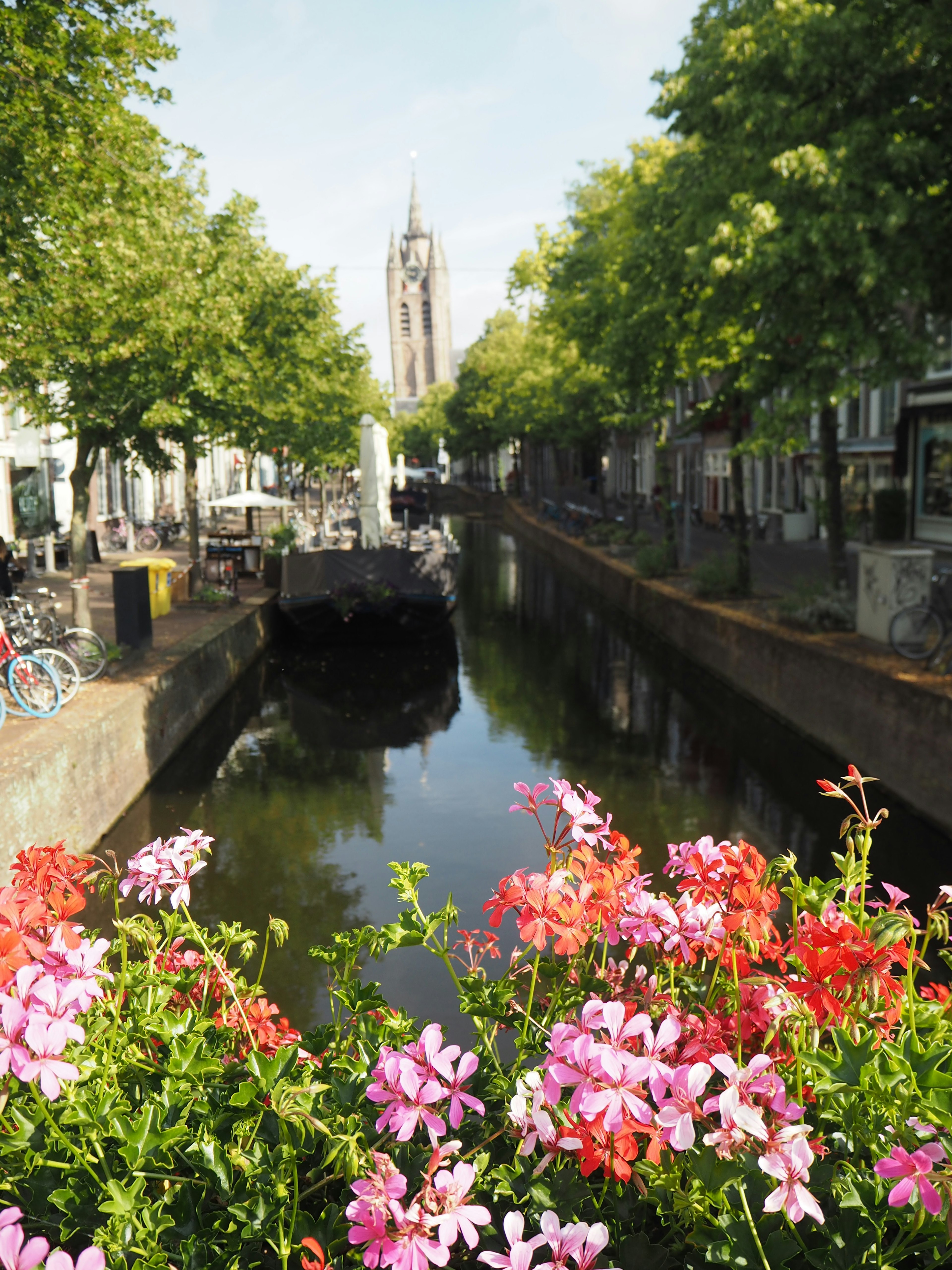 Vue pittoresque d'un canal avec des fleurs en fleurs et des arbres verts luxuriants aux côtés d'une tour d'église au loin