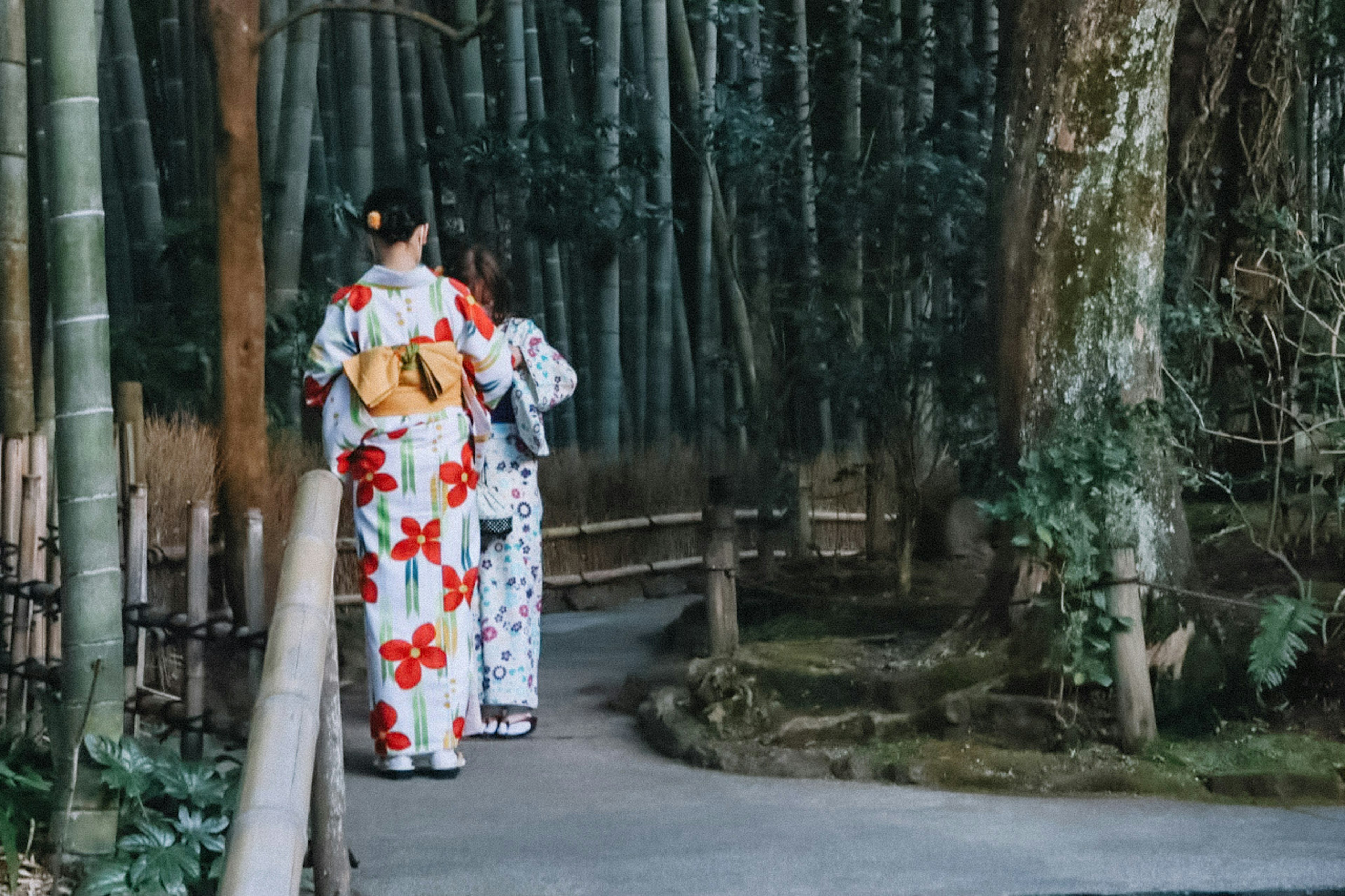 二人の着物を着た女性が竹林の小道を歩いている風景