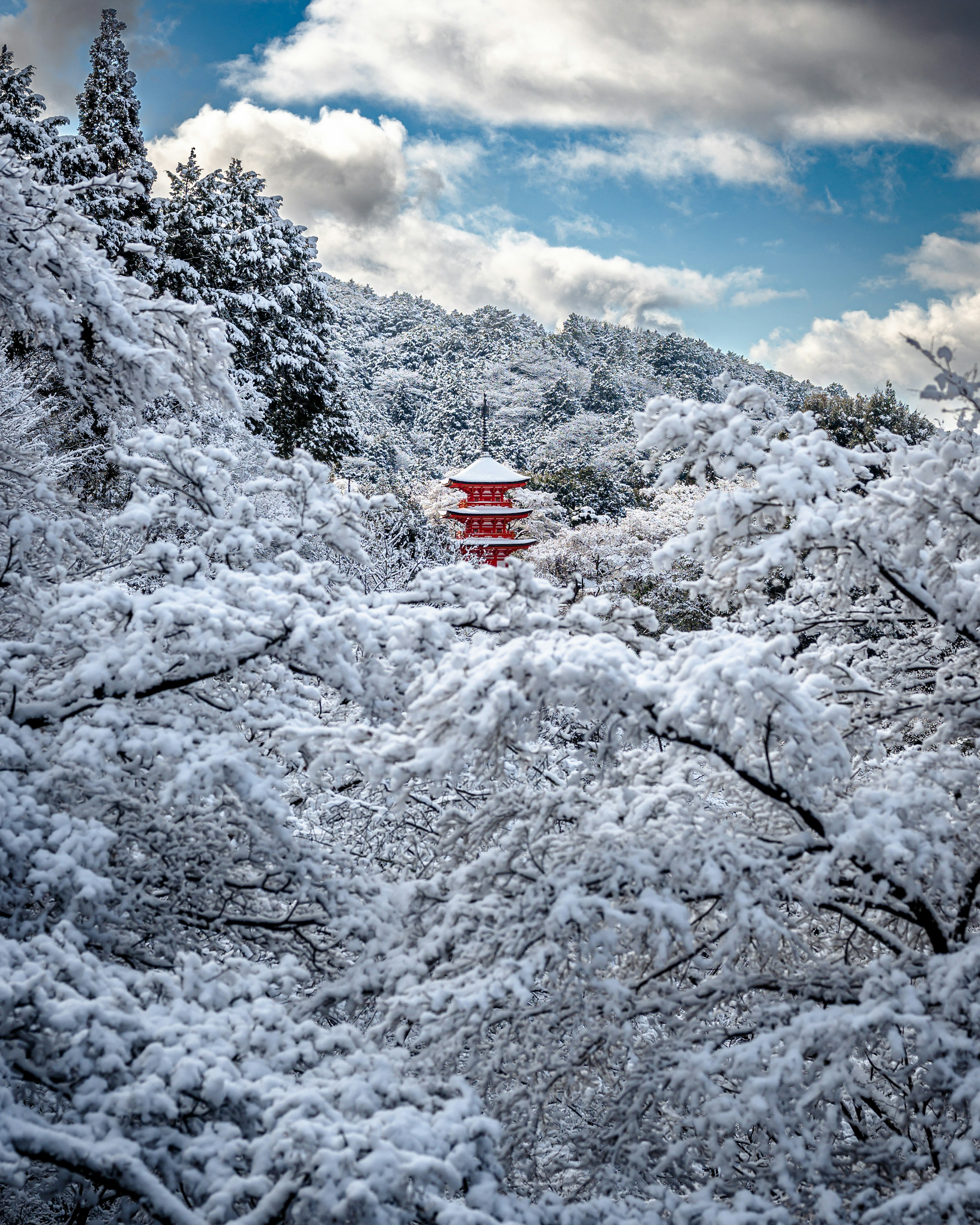 Vista escénica de una pagoda roja entre árboles cubiertos de nieve