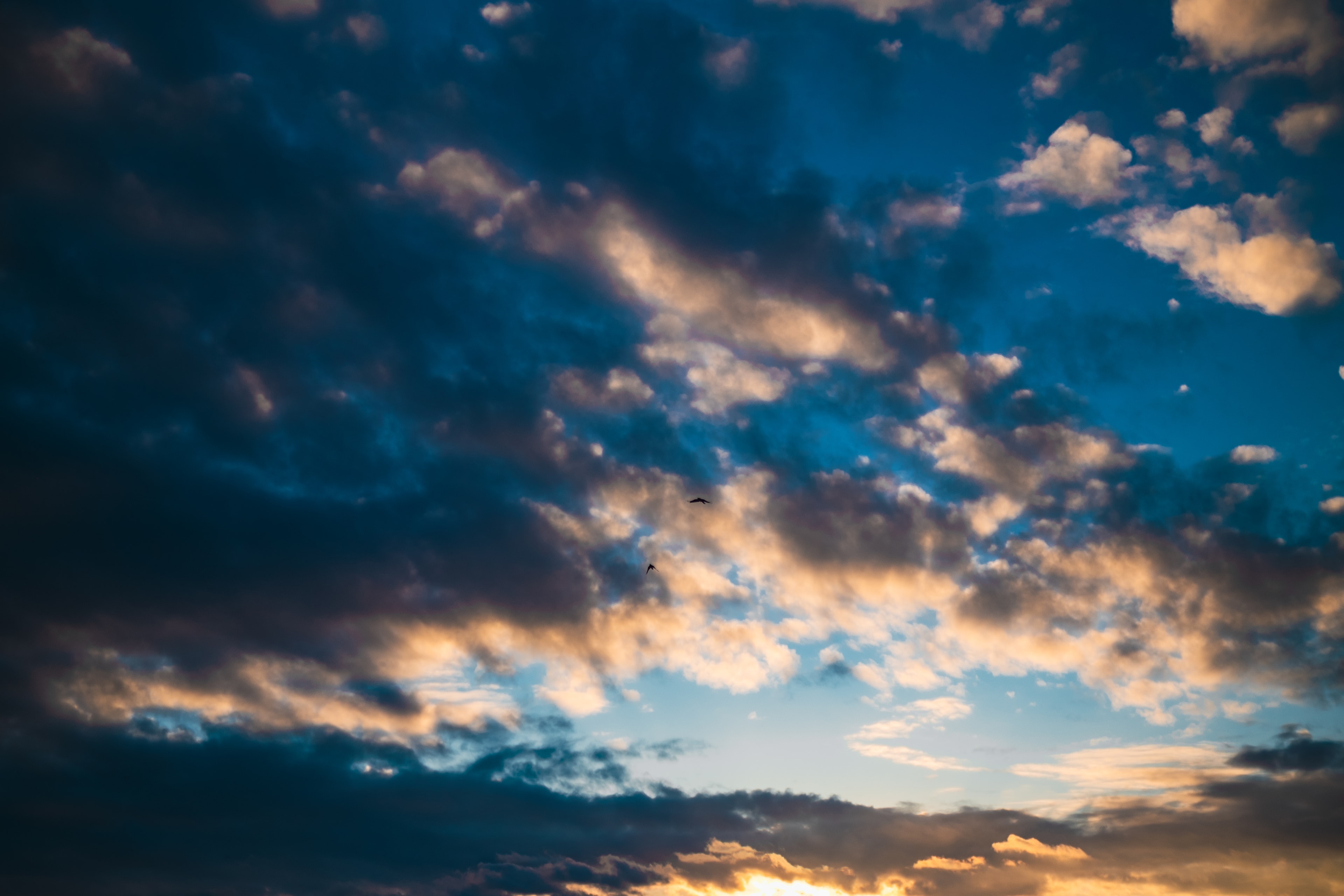 Wolken, die vom Sonnenuntergang in einem blauen Himmel beleuchtet werden