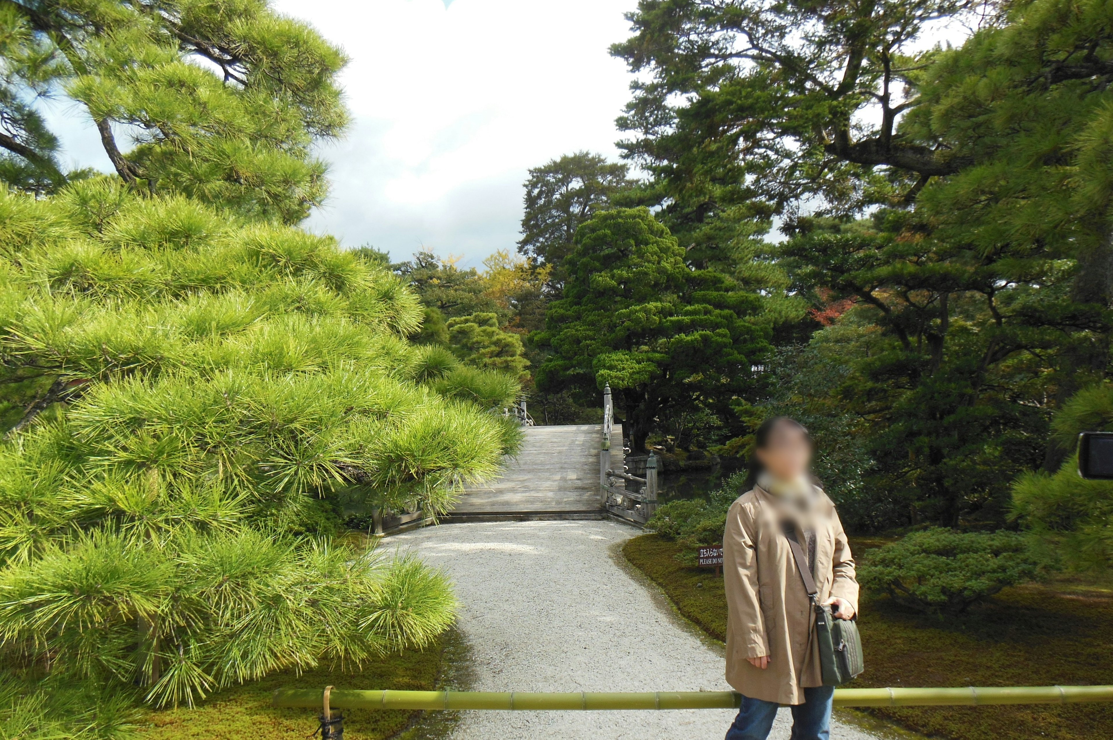 Persona de pie en un jardín exuberante con un puente de piedra