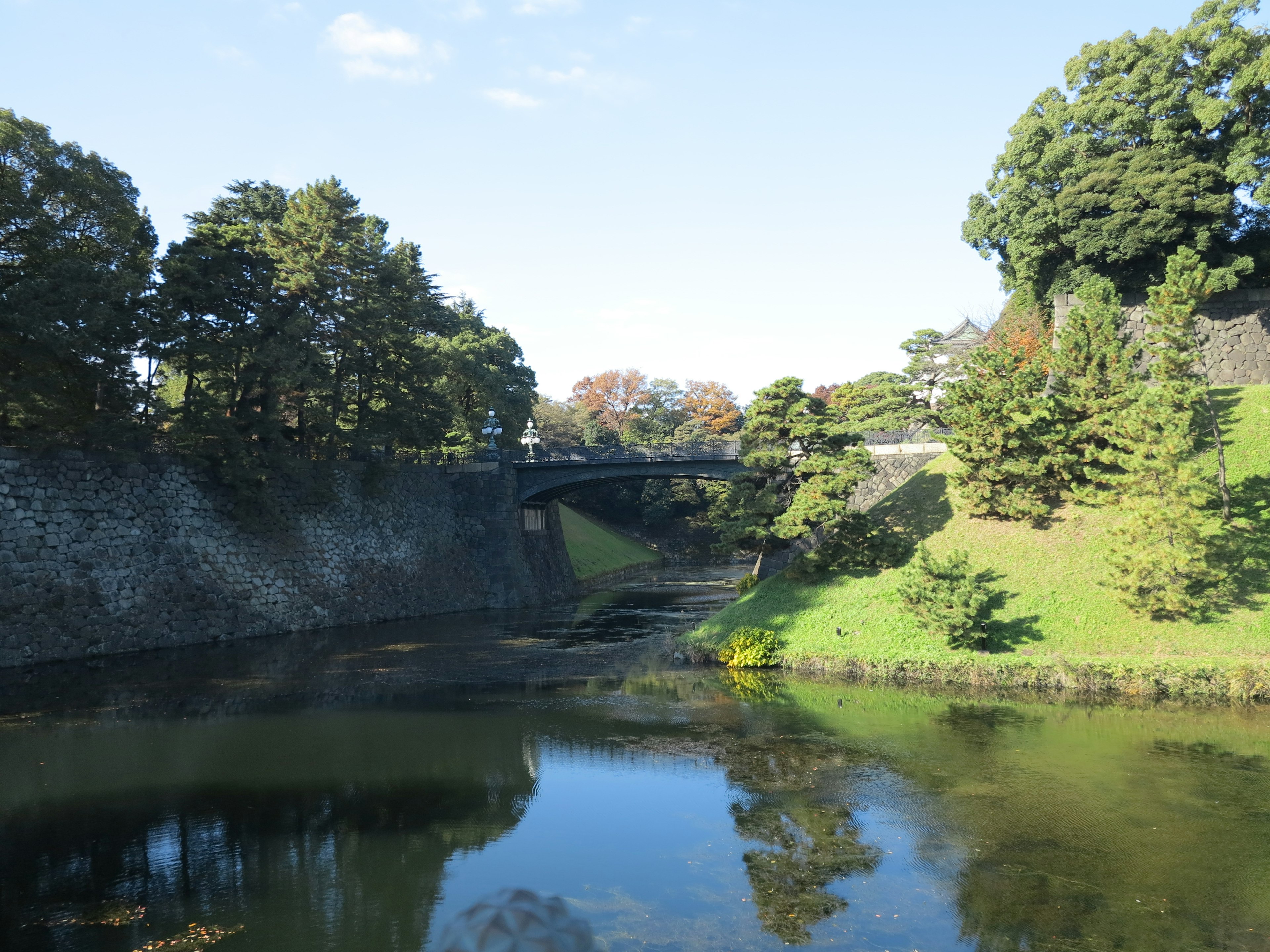 Paysage serein avec une rivière et des arbres verts un pont en arrière-plan