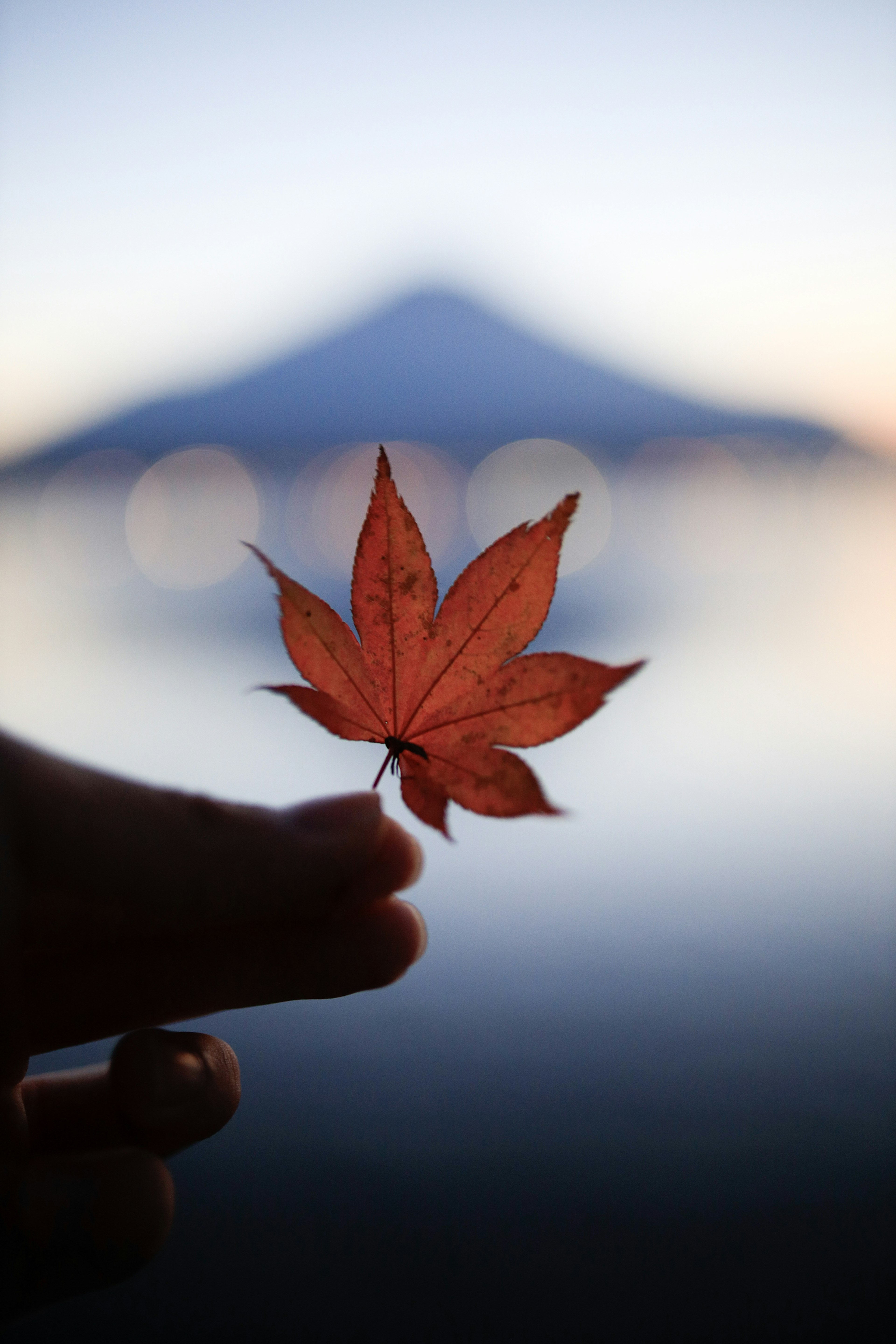 美しい紅葉の葉を持つ手と背景にぼんやりとした山