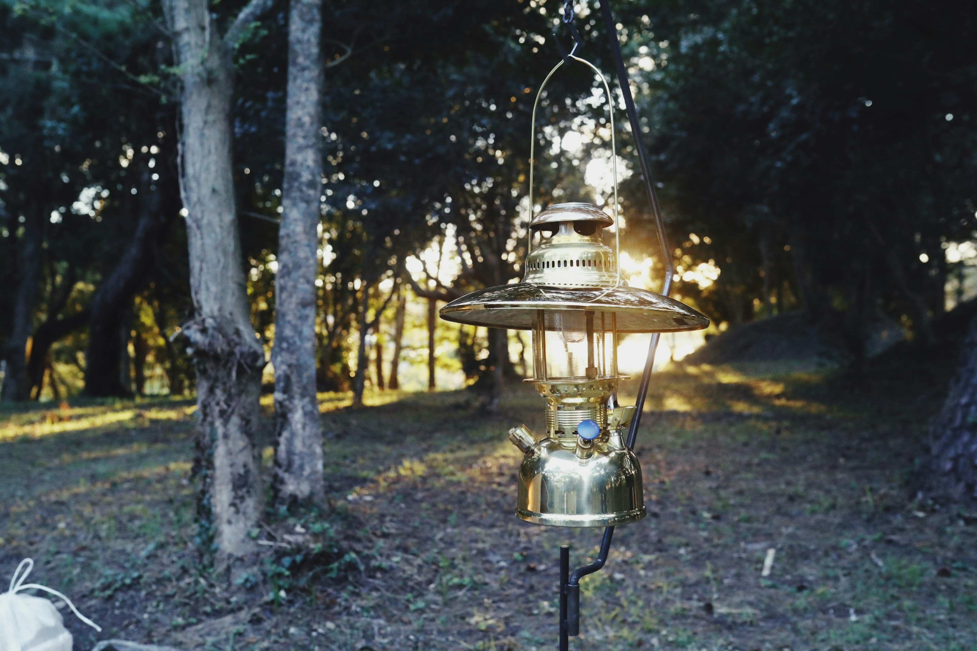 夕日を背景にした金色のランタンが木々の間に立っている